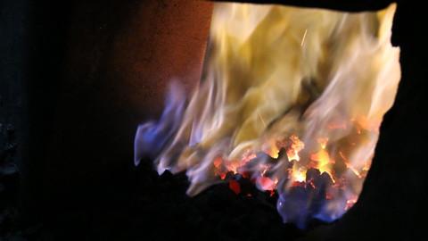 堺 孝行 青龍 青鋼二號 切付柳刃 300mm 附刀鞘 - 清助刃物