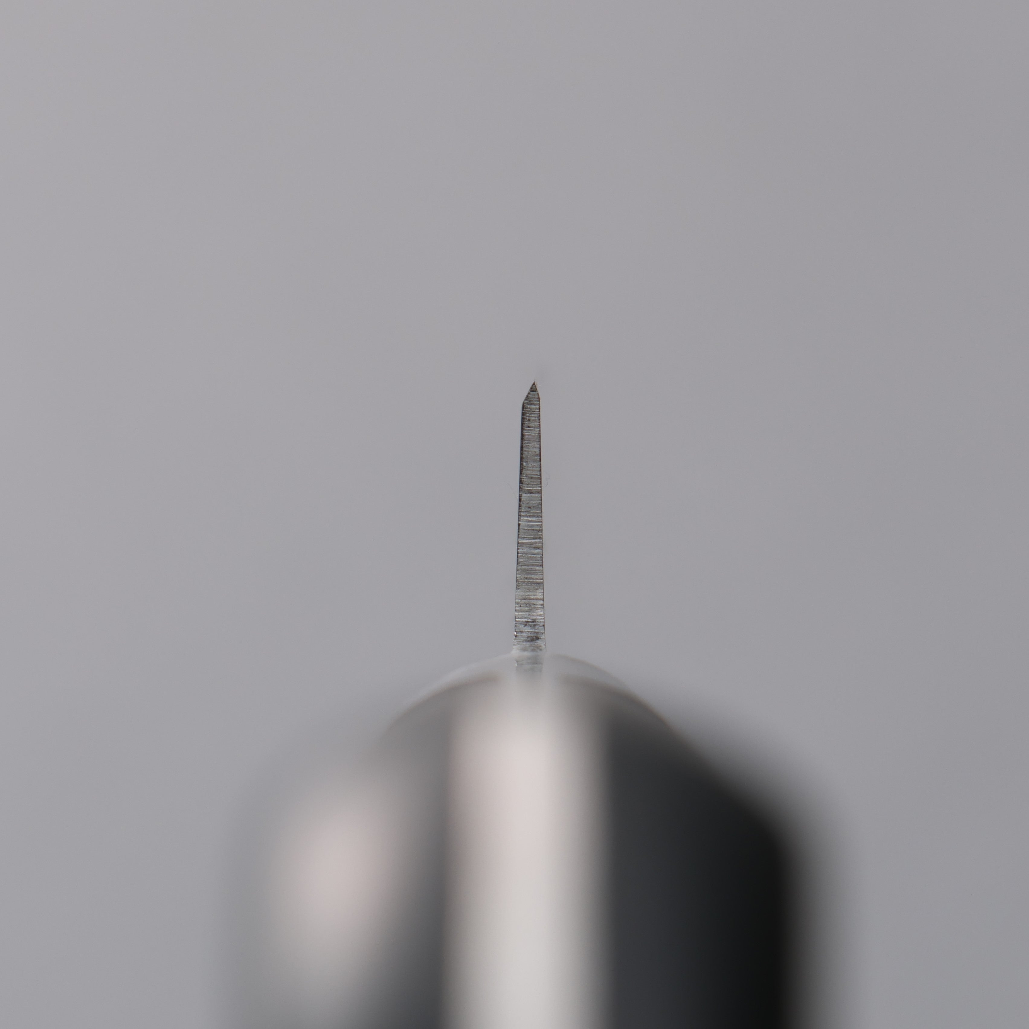 堺 孝行 日本鋼 筋引 210mm 合成木握把 - 清助刃物