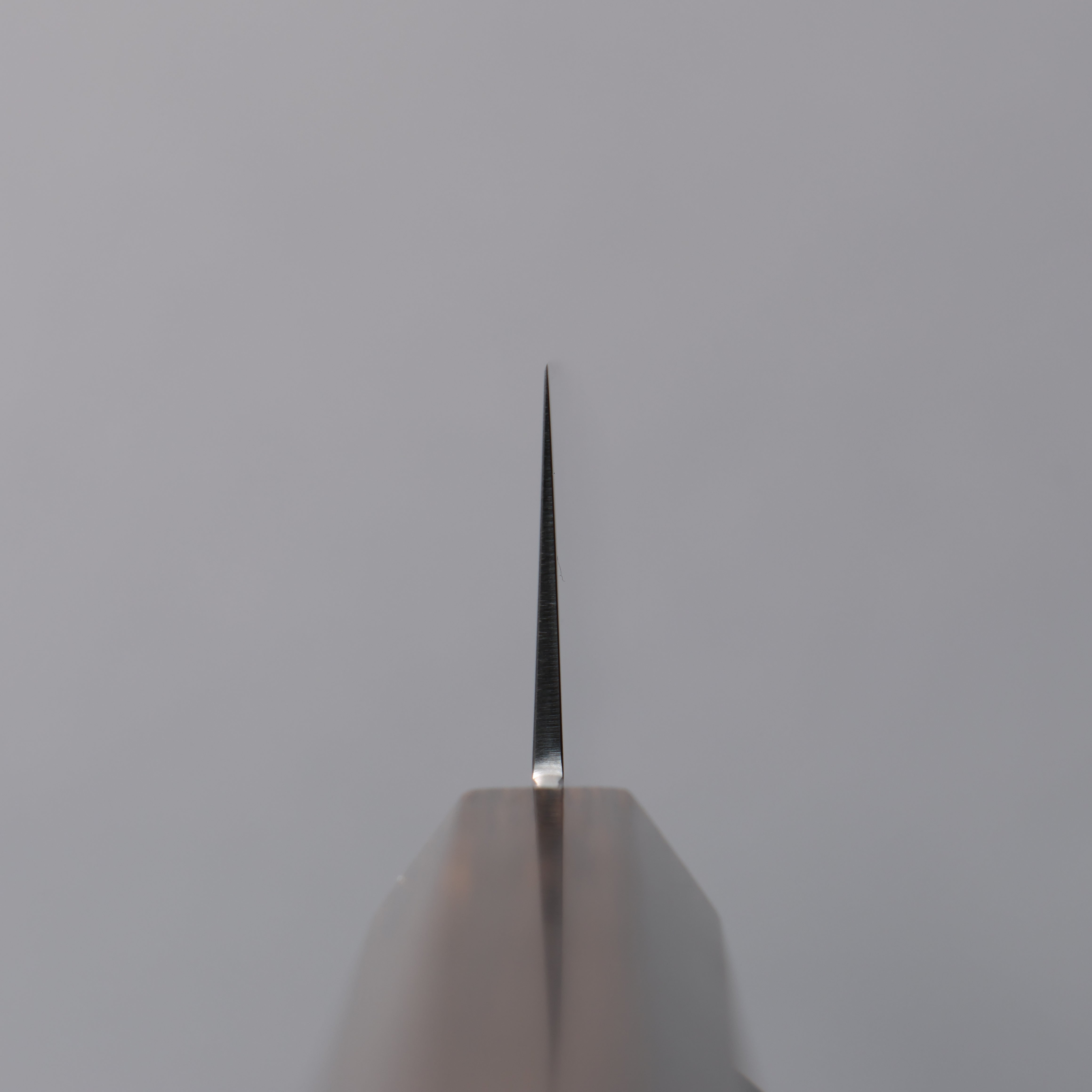 兼常 一途 VG10 筋引 240mm 茶色合成木 握把 - 清助刃物