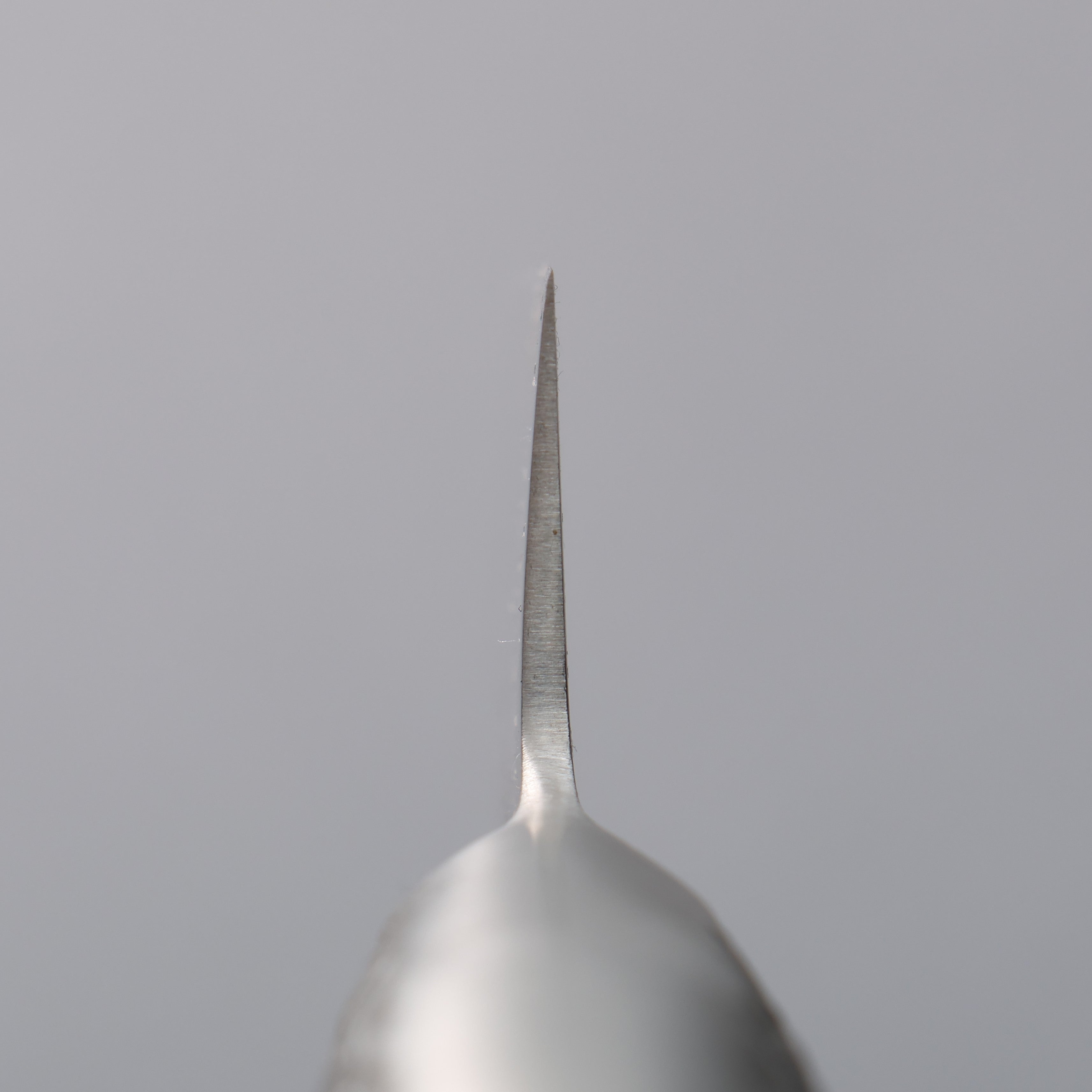 堺 孝行 INOX PRO 鉬鋼 去骨刀 150mm - 清助刃物