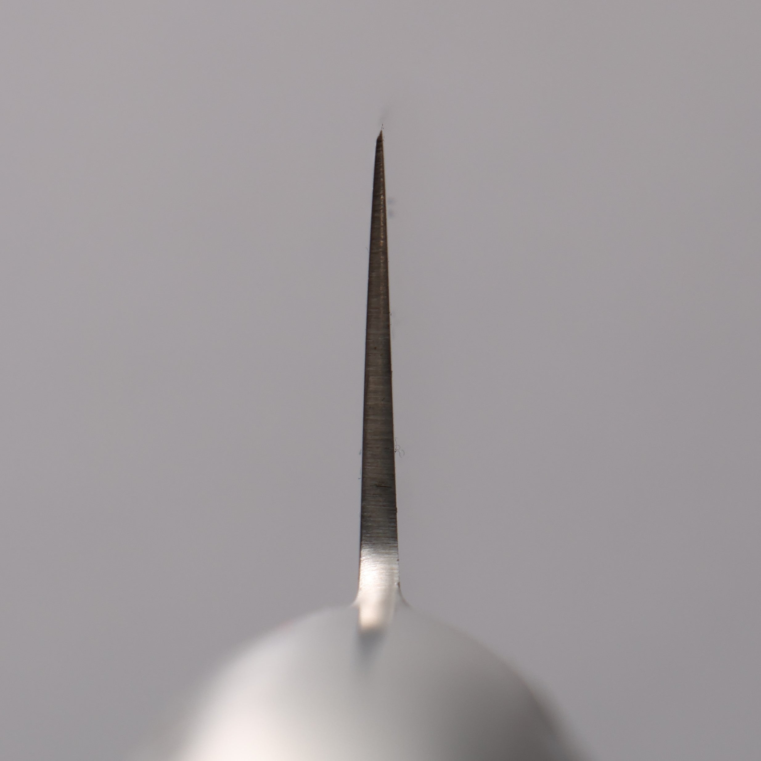 堺 孝行 INOX PRO 鉬鋼 筋引 240mm - 清助刃物