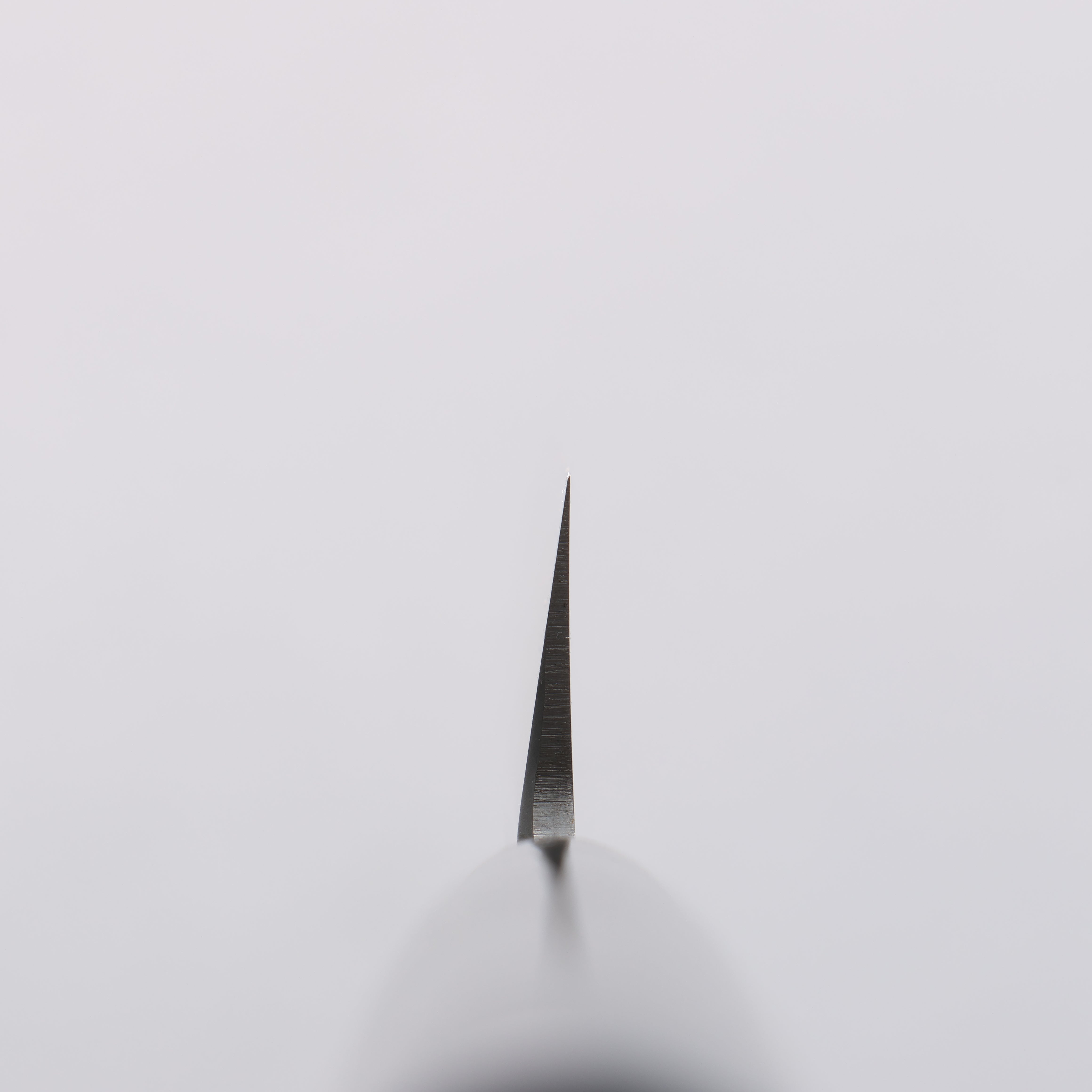 堺 孝行 四季彩 曙 INOX 柳刃 漆塗握把 附刀鞘 240/270/300mm - 清助刃物