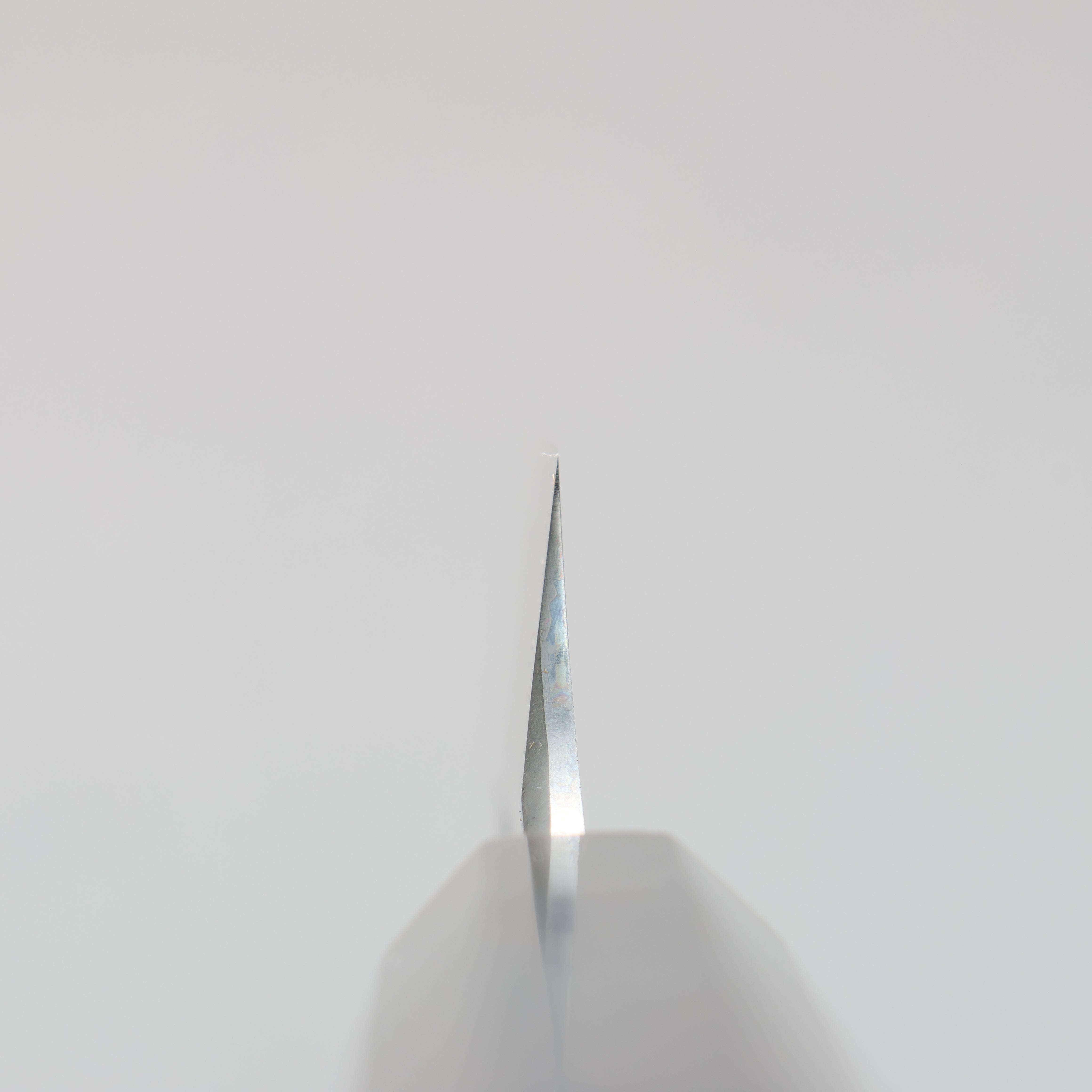 堺 孝行 青龍 青鋼二號 切付柳刃 300mm 附刀鞘 - 清助刃物