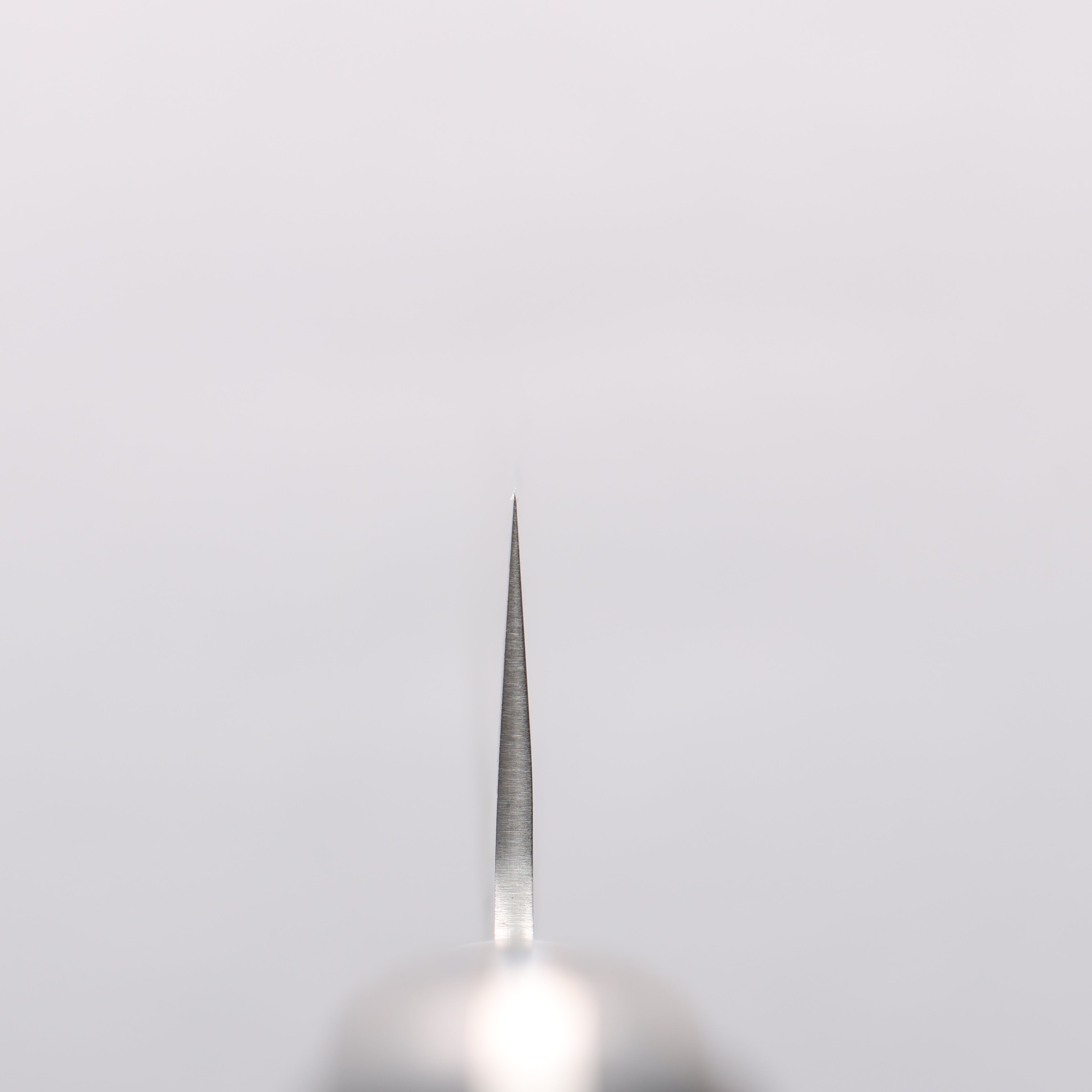 清助 AUS8 鎚目 筋引 240mm 茶色合成木 握把 - 清助刃物