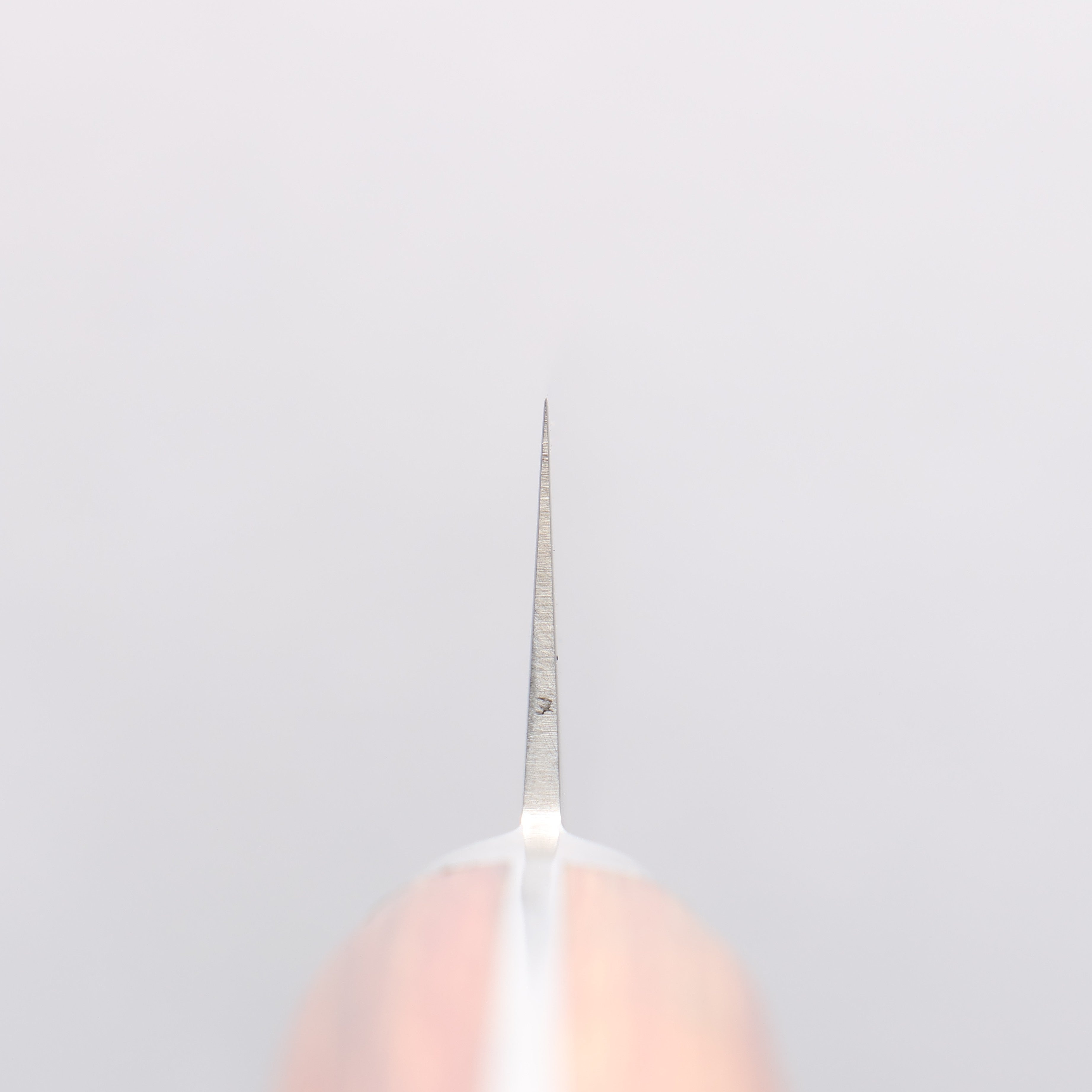 堺 孝行 VG5 鎚目 筋引 240mm 茶色合成木 握把 - 清助刃物