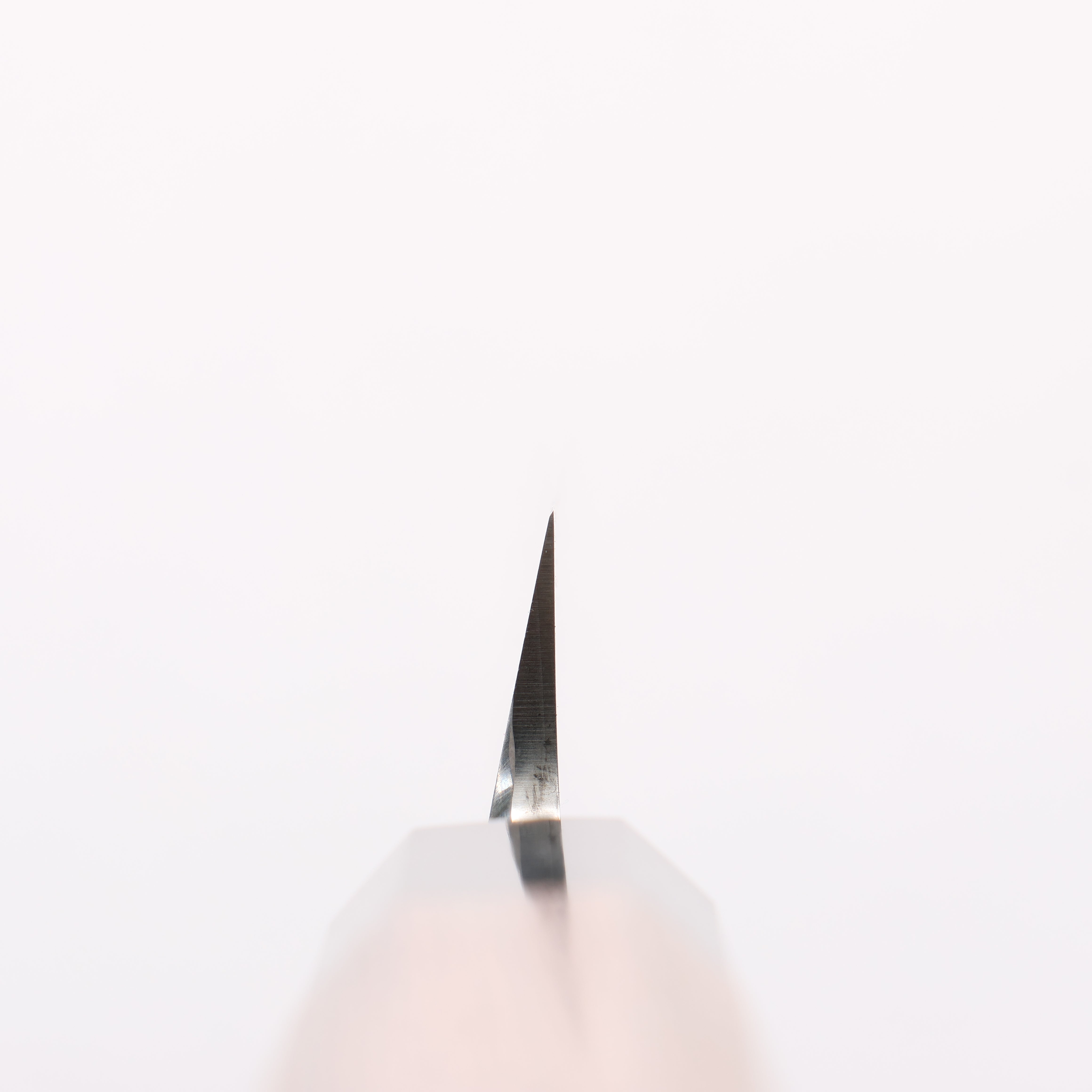 堺 孝行 主廚系列 銀三鋼 柳刃 雞翅木(兩側帶水牛環型設計)握把 - 清助刃物