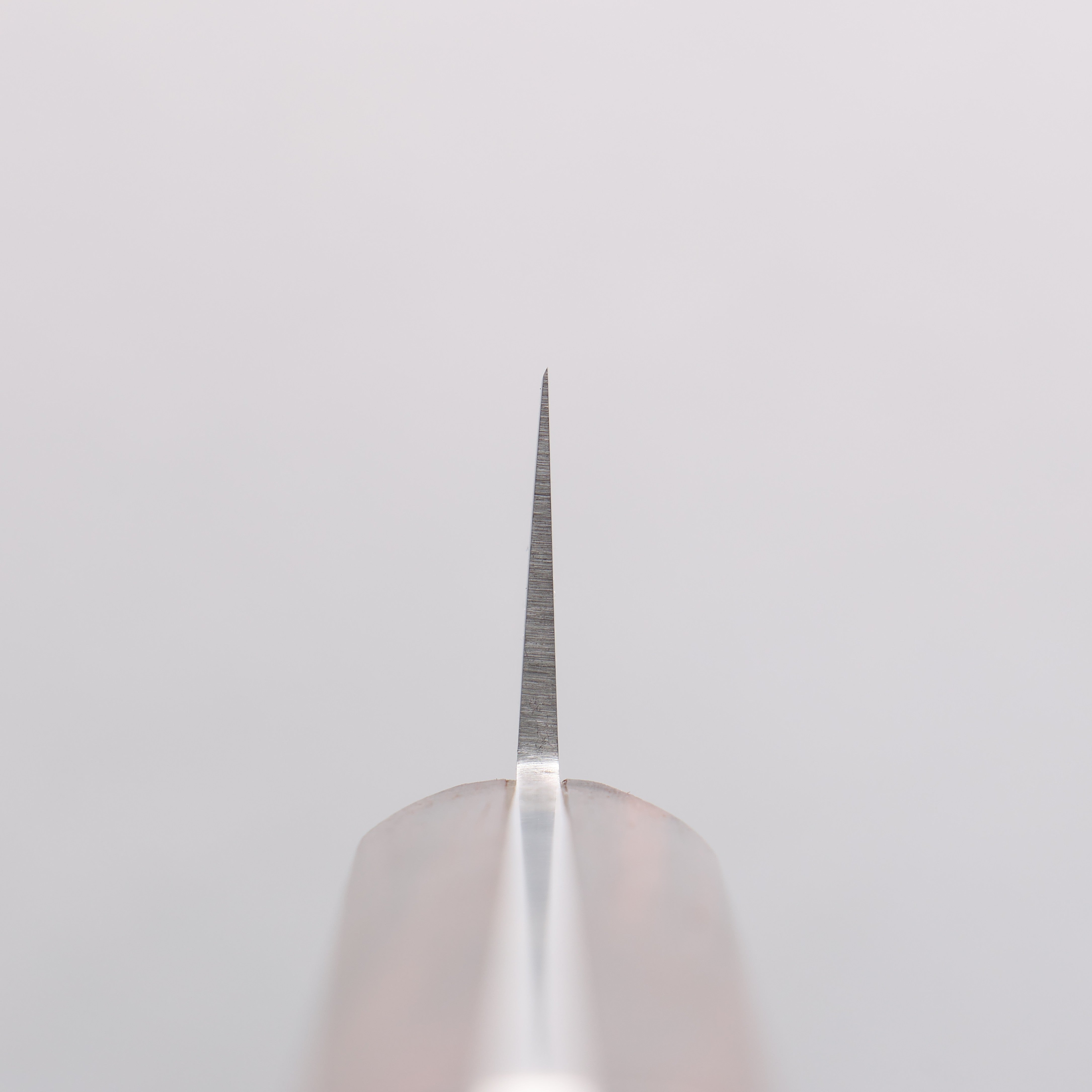 清助 山賊 日本鋼 去骨刀 150mm 紫檀木 握把 - 清助刃物