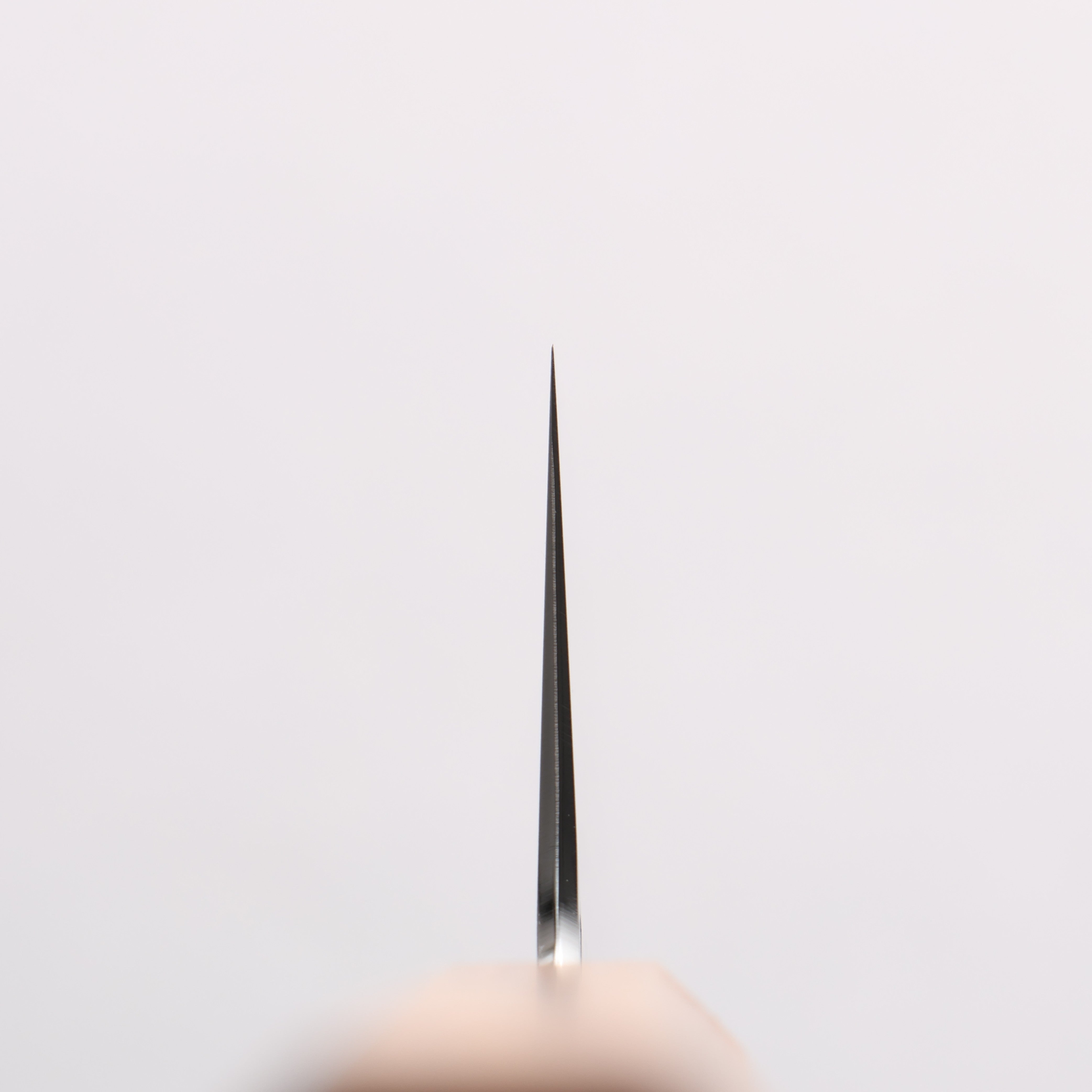 刃道 潮騒 SG2 鎚目 切付牛刀 210mm 橡木 握把 - 清助刃物