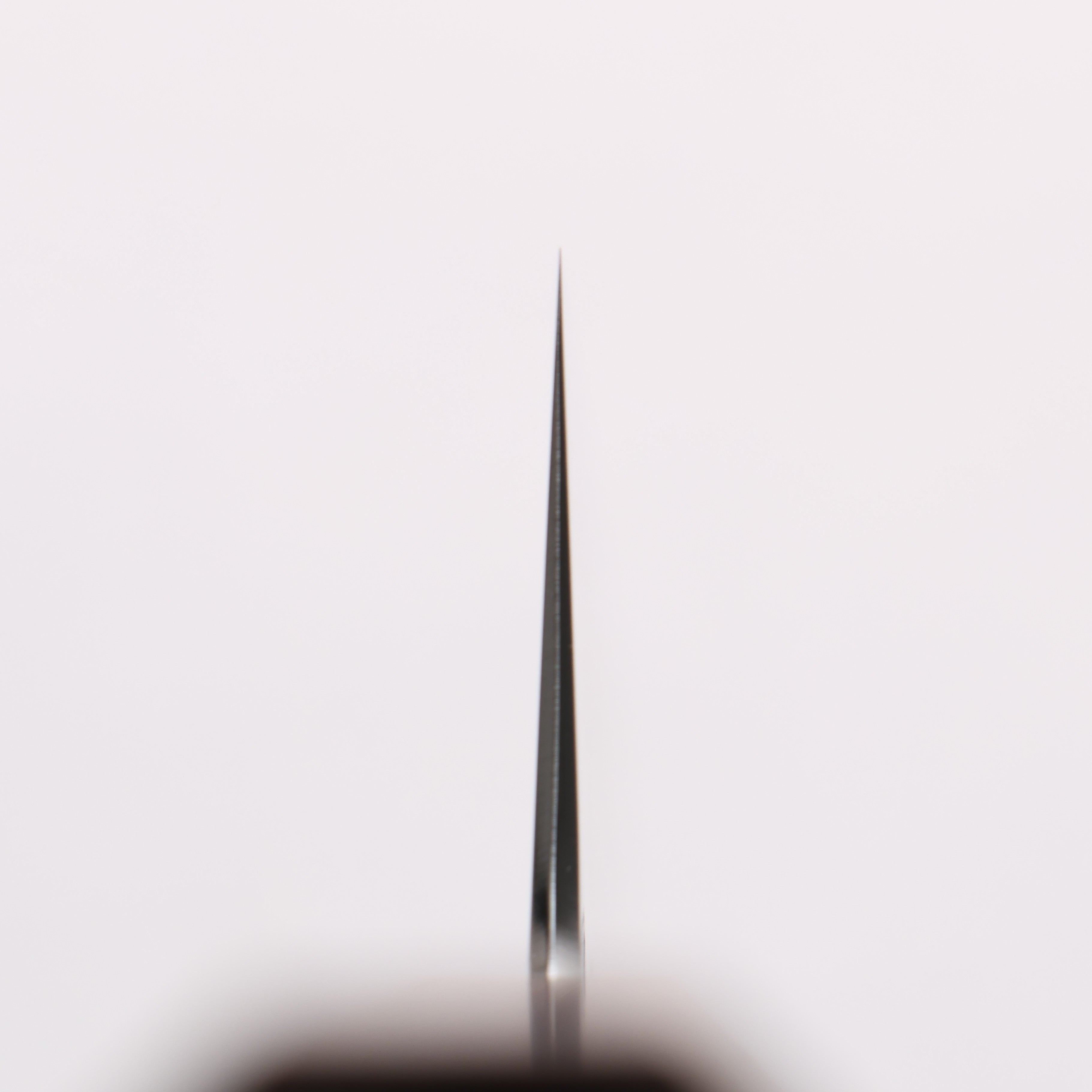 刃道 潮騒 SG2 鎚目 切付牛刀 210mm 漆塗 (木地呂塗) 握把 - 清助刃物