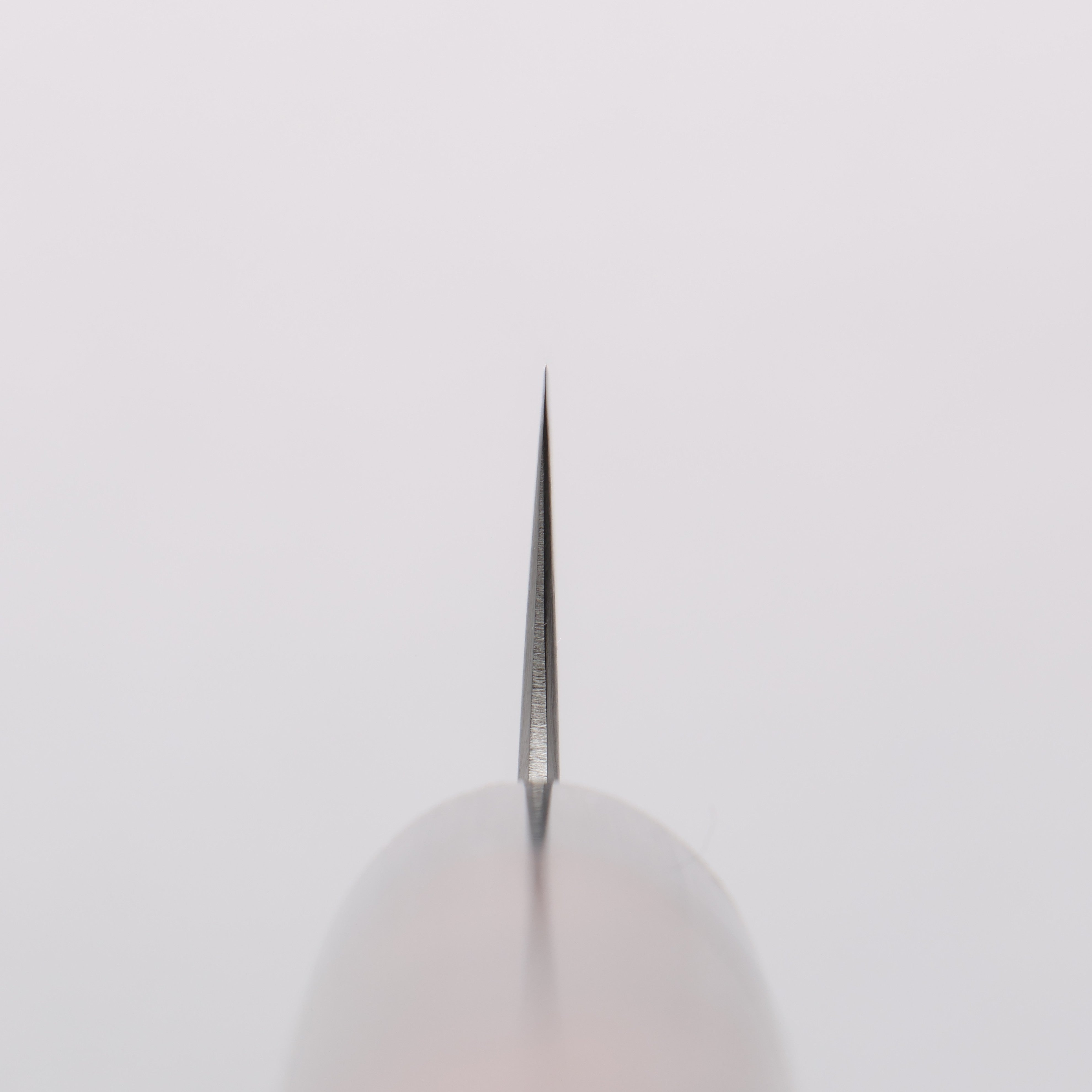 清助 超級青鋼 筋引 240mm 紫檀木(口輪:黑合成木) 握把 - 清助刃物