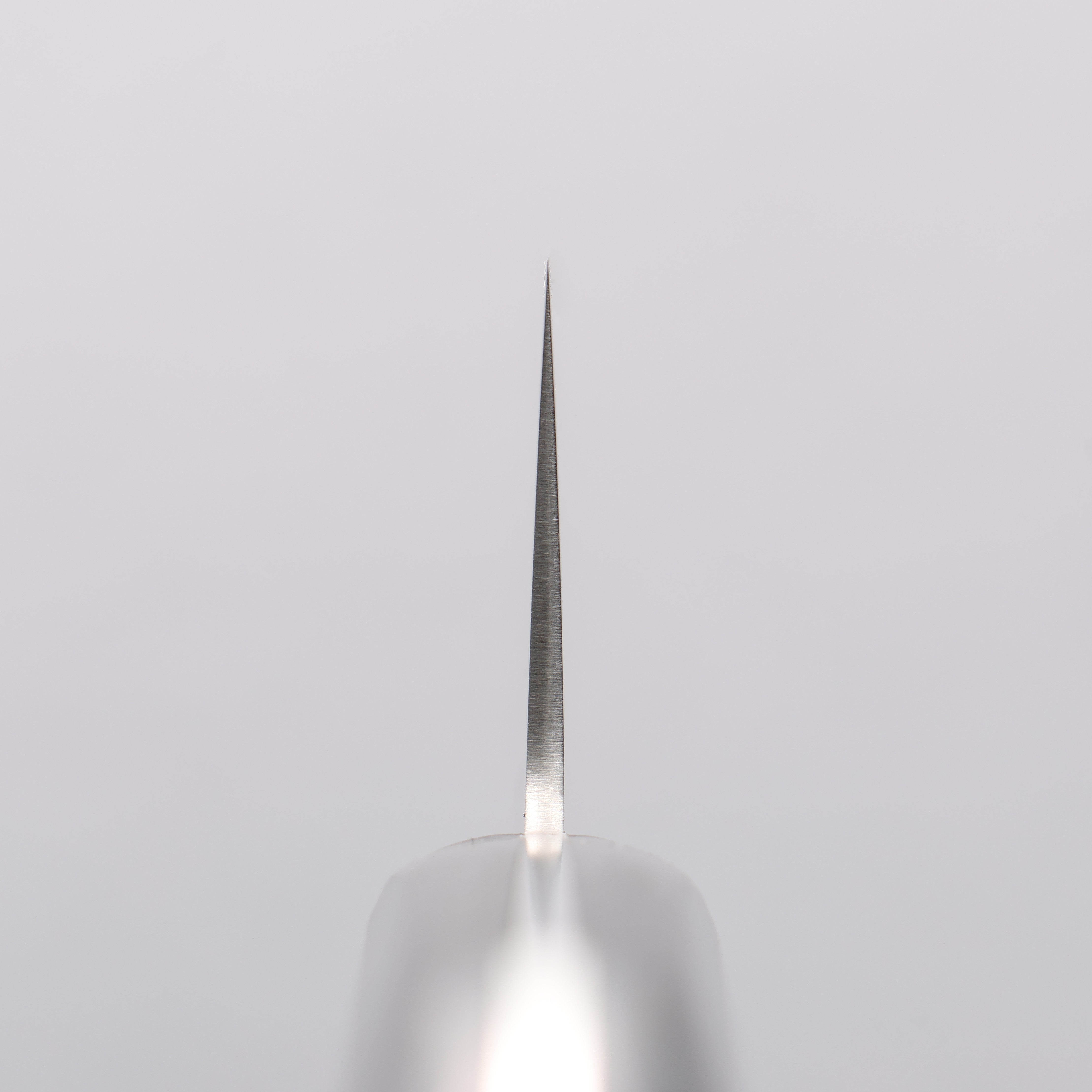 清助 SLD 鋼 打磨處理 牛刀 210mm 黑合成木 握把 - 清助刃物