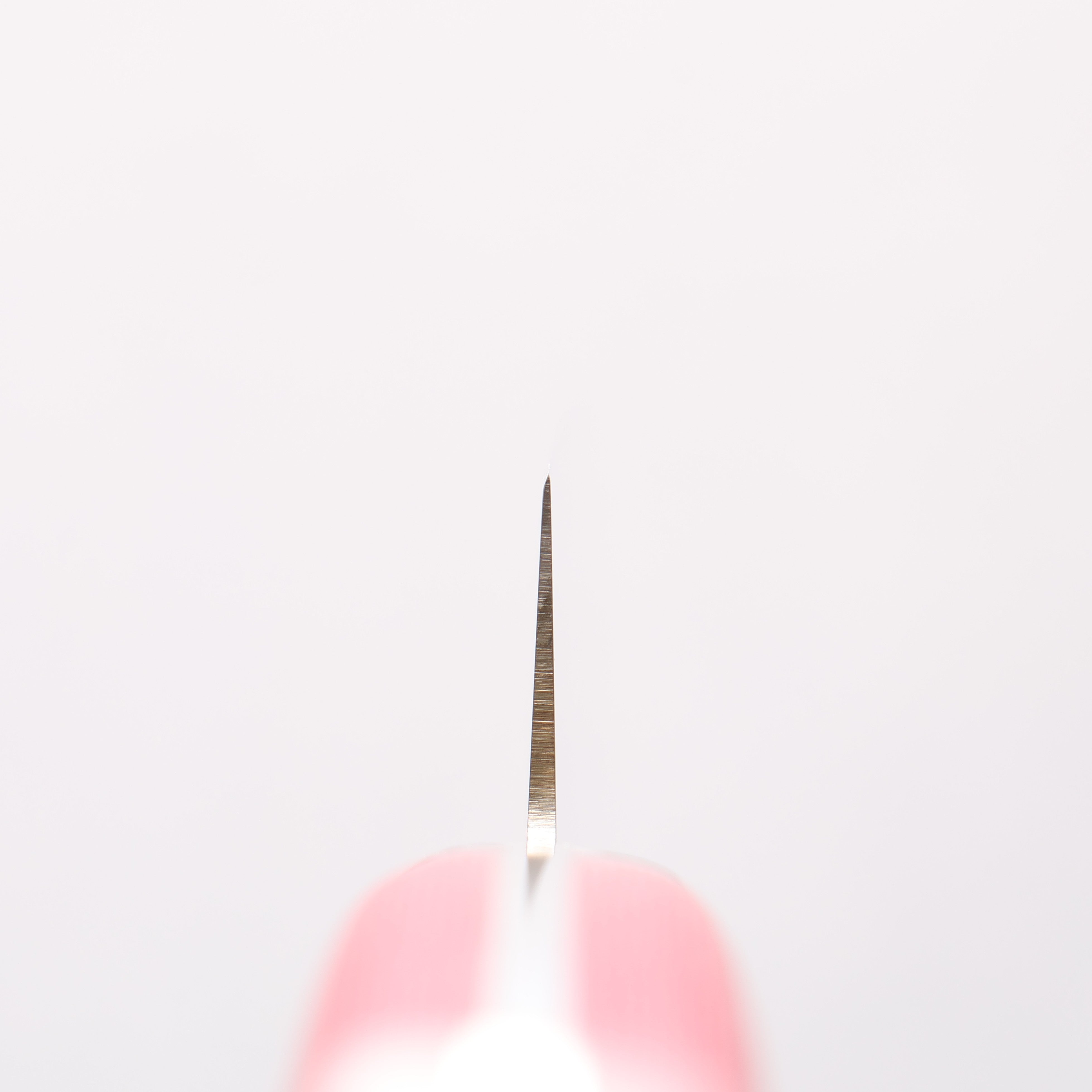 堺 孝行 大廚系列 大廚系列 瑞典鋼 筋引 240mm 紅米卡塔(樹脂複合材料) 握把 - 清助刃物