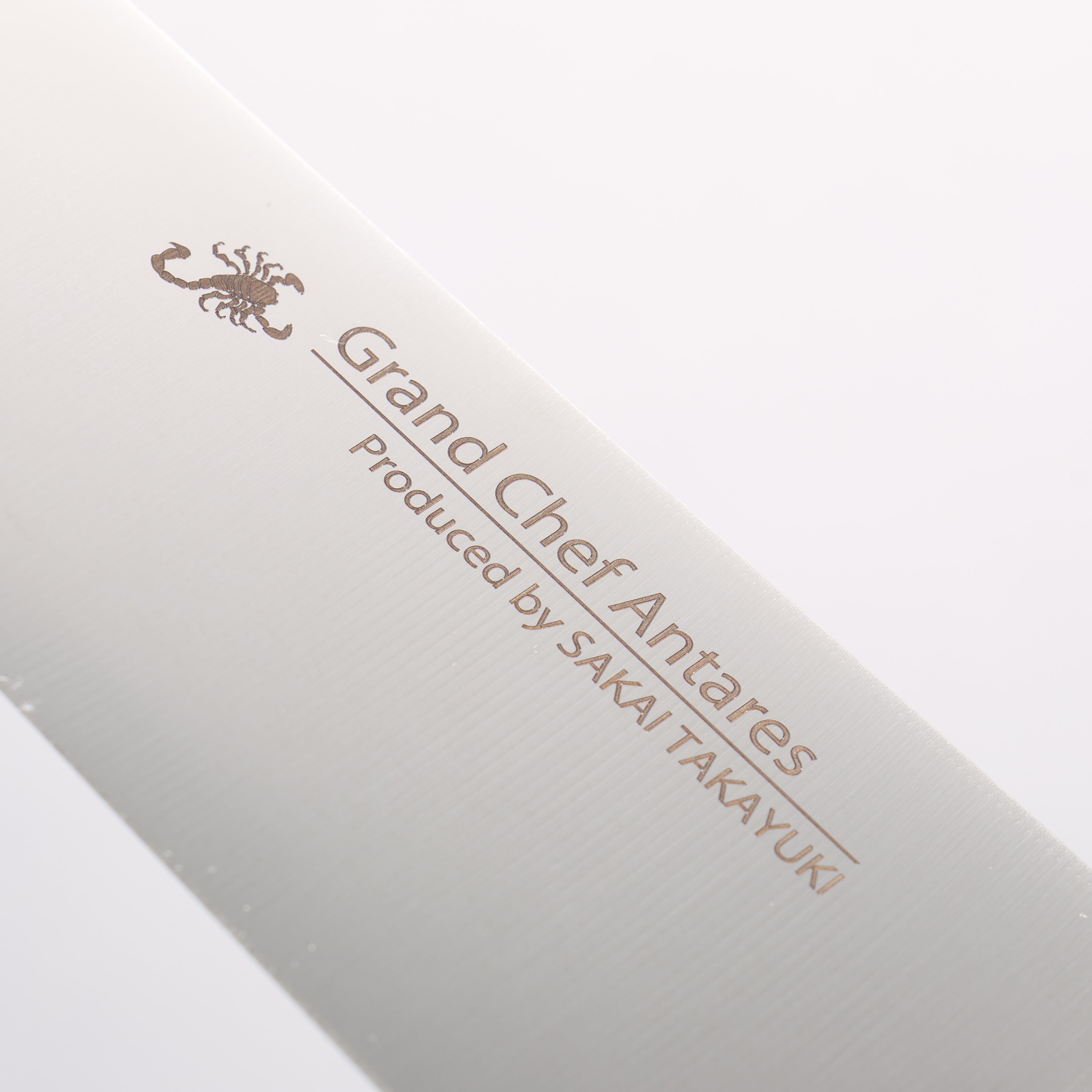 堺 孝行 大廚系列 Antares 瑞典鋼 筋引 240mm 雞翅木 握把 - 清助刃物