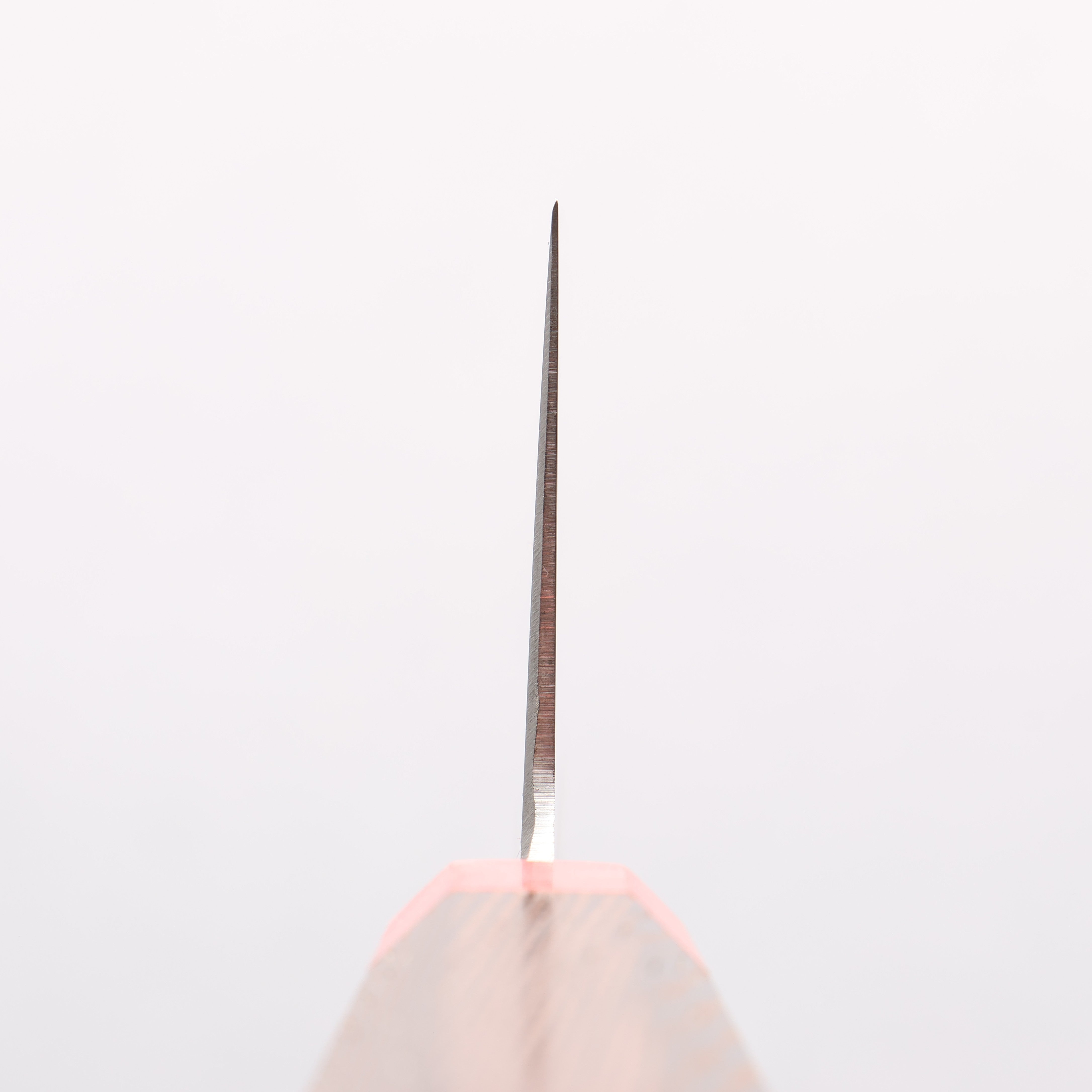 堺 孝行 大廚系列 Antares 瑞典鋼 筋引 240mm 雞翅木 握把 - 清助刃物