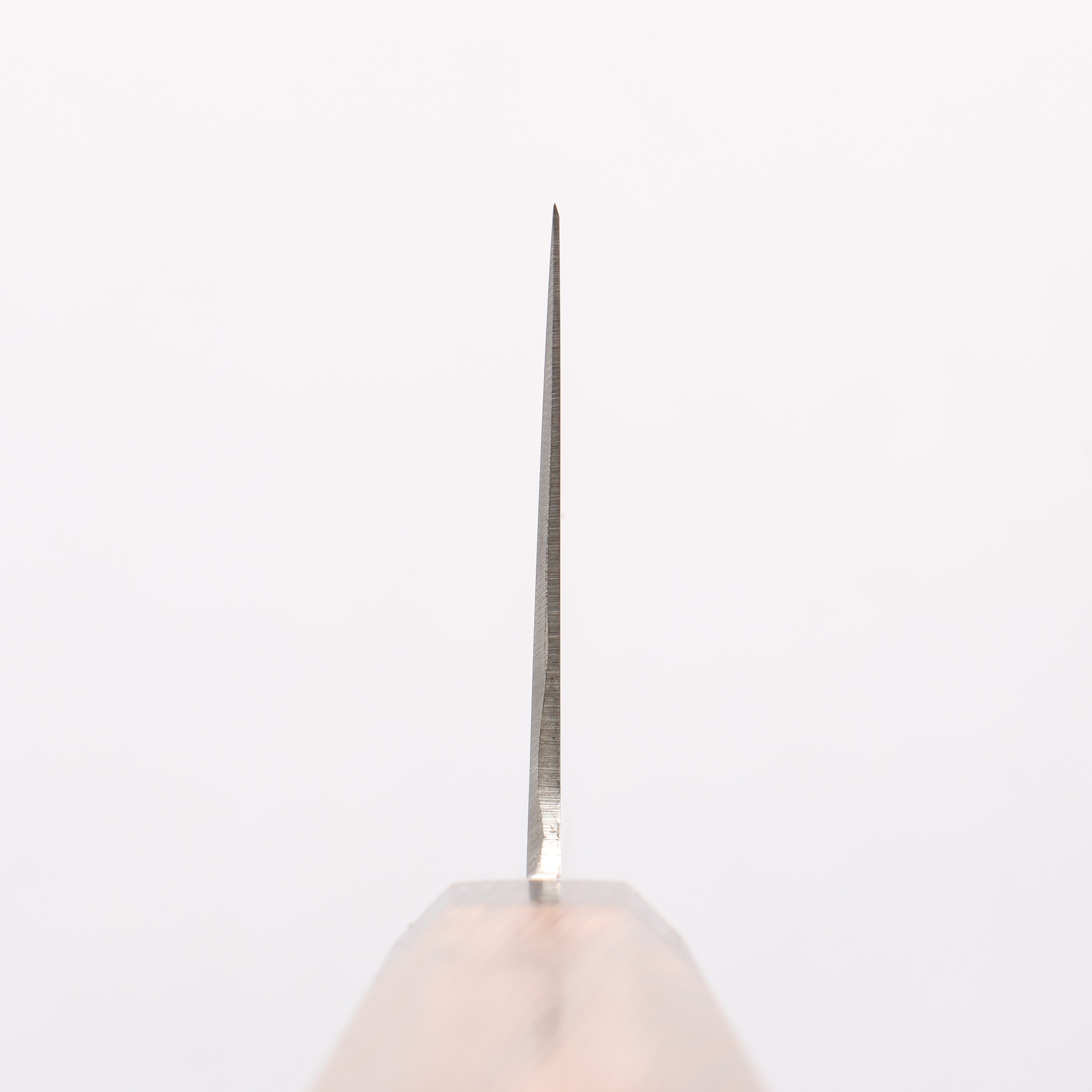 堺 孝行 大廚系列 Antares 瑞典鋼 筋引 240mm 雞翅木 握把 - 清助刃物