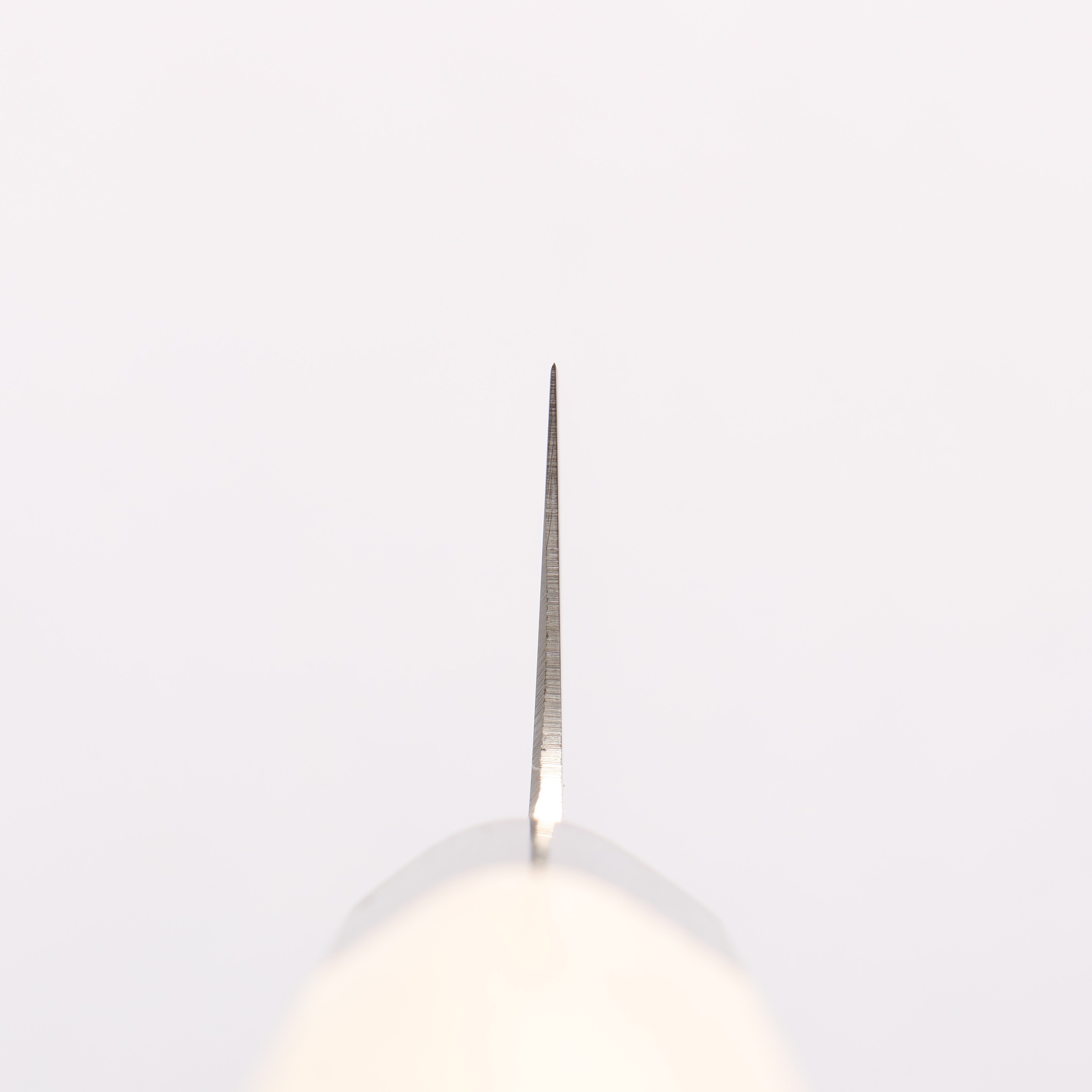 堺 孝行 大廚系列 大廚系列 瑞典鋼 筋引 240mm 木蘭 握把 - 清助刃物