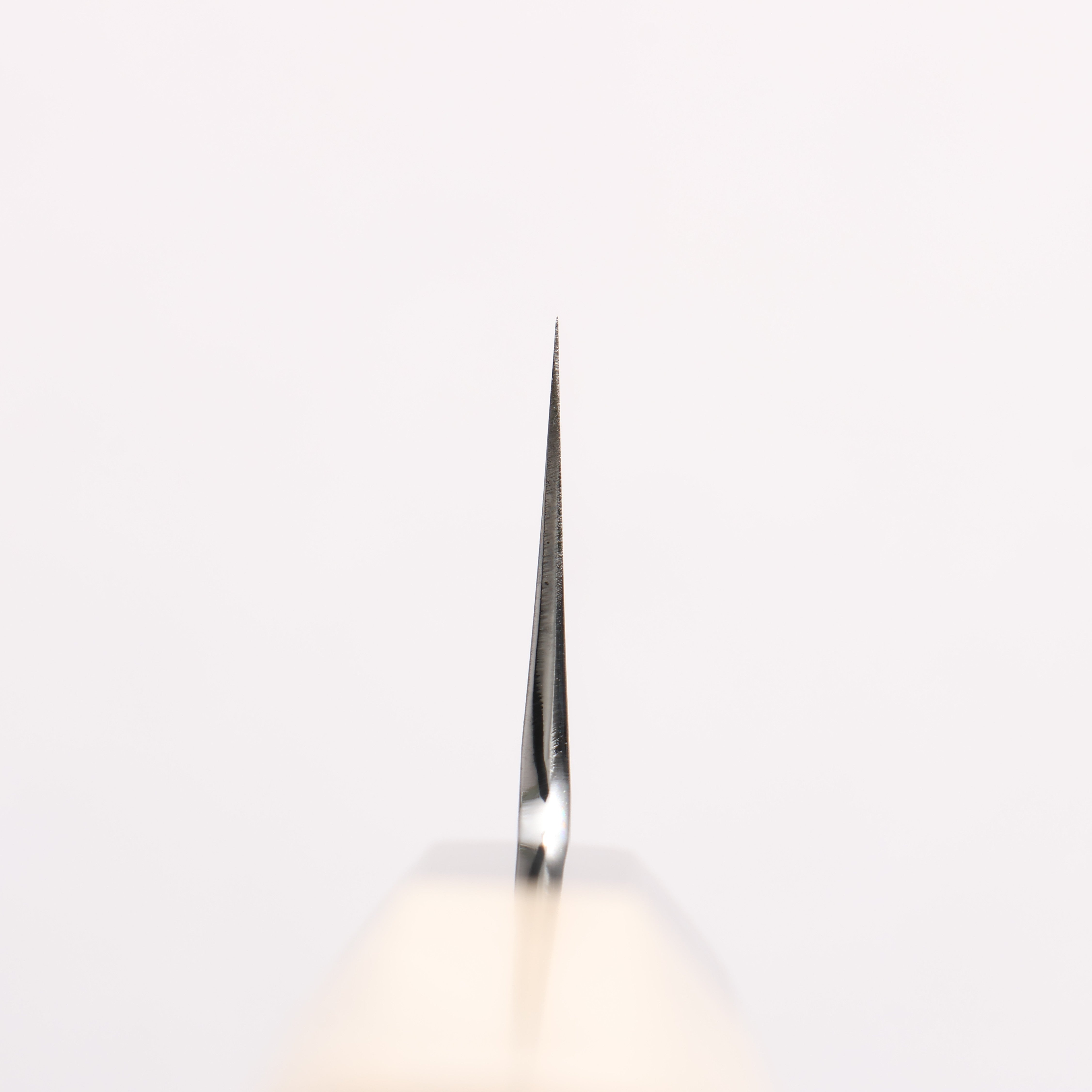 重陽 白鋼 鏡面處理 切付牛刀 210mm 木蘭握把 - 清助刃物