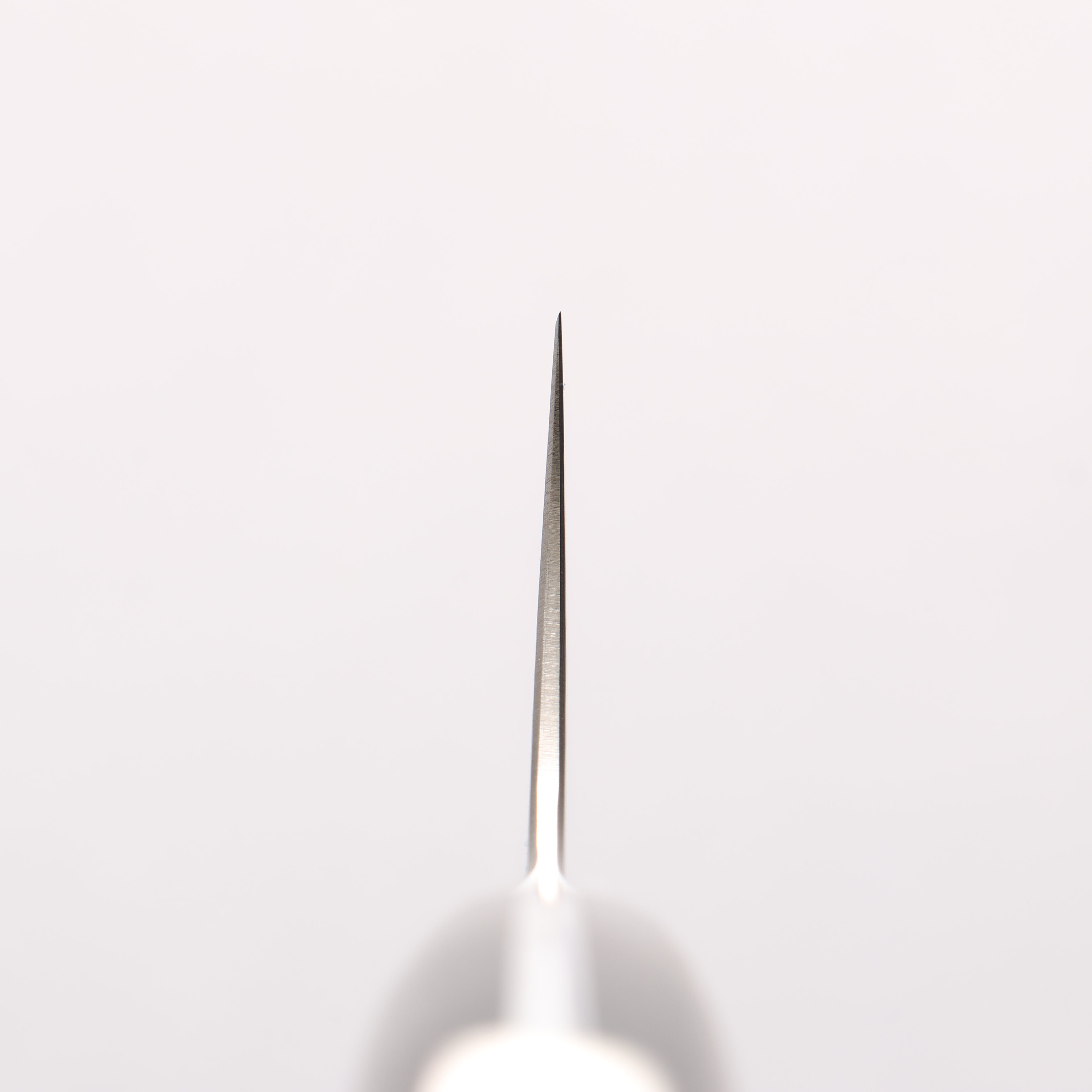 佳人 ZDP189 大馬士革紋 打磨處理 牛刀 210mm 哈納林瘤嵌細工 握把 - 清助刃物