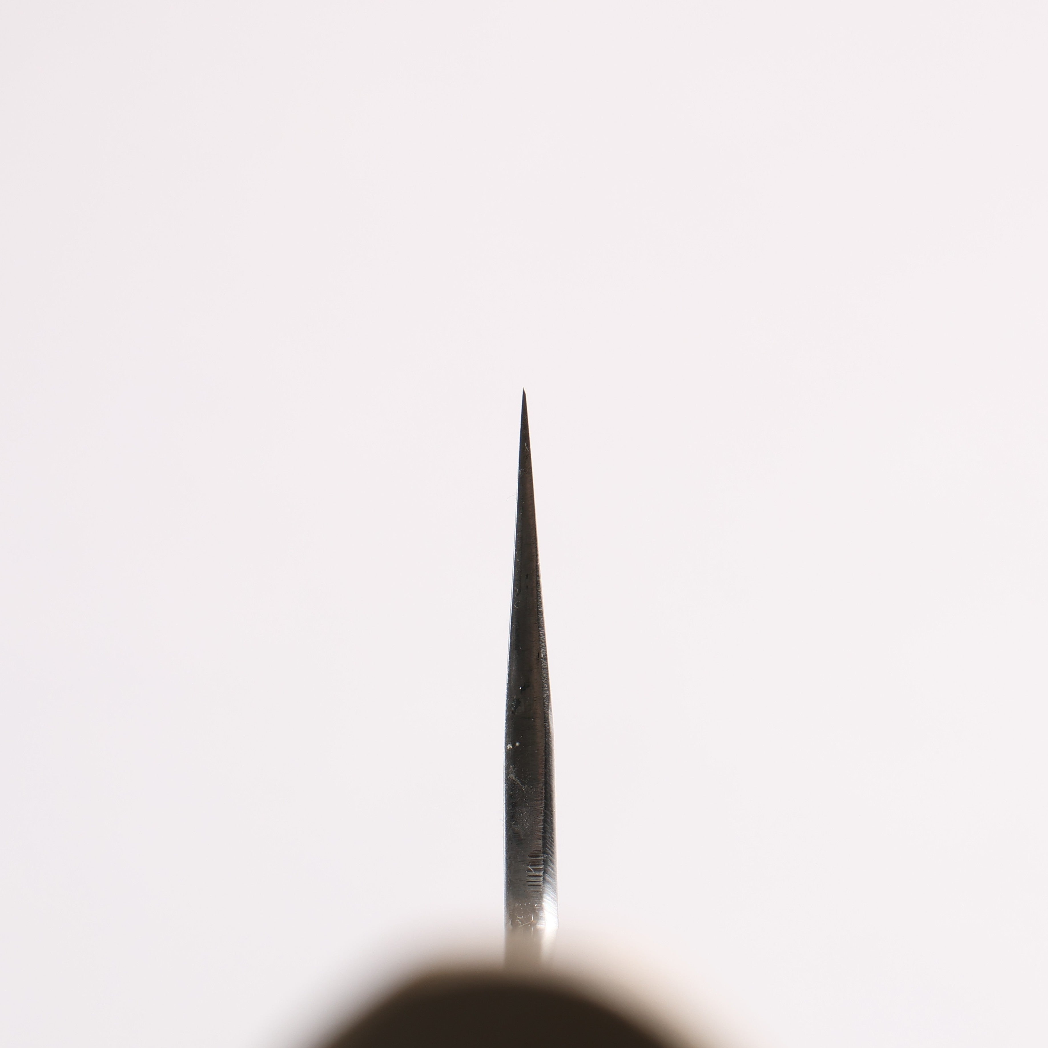 堺 菊守 白鋼一號 牛刀 210mm 木蘭(口輪:水牛角) 握把 - 清助刃物