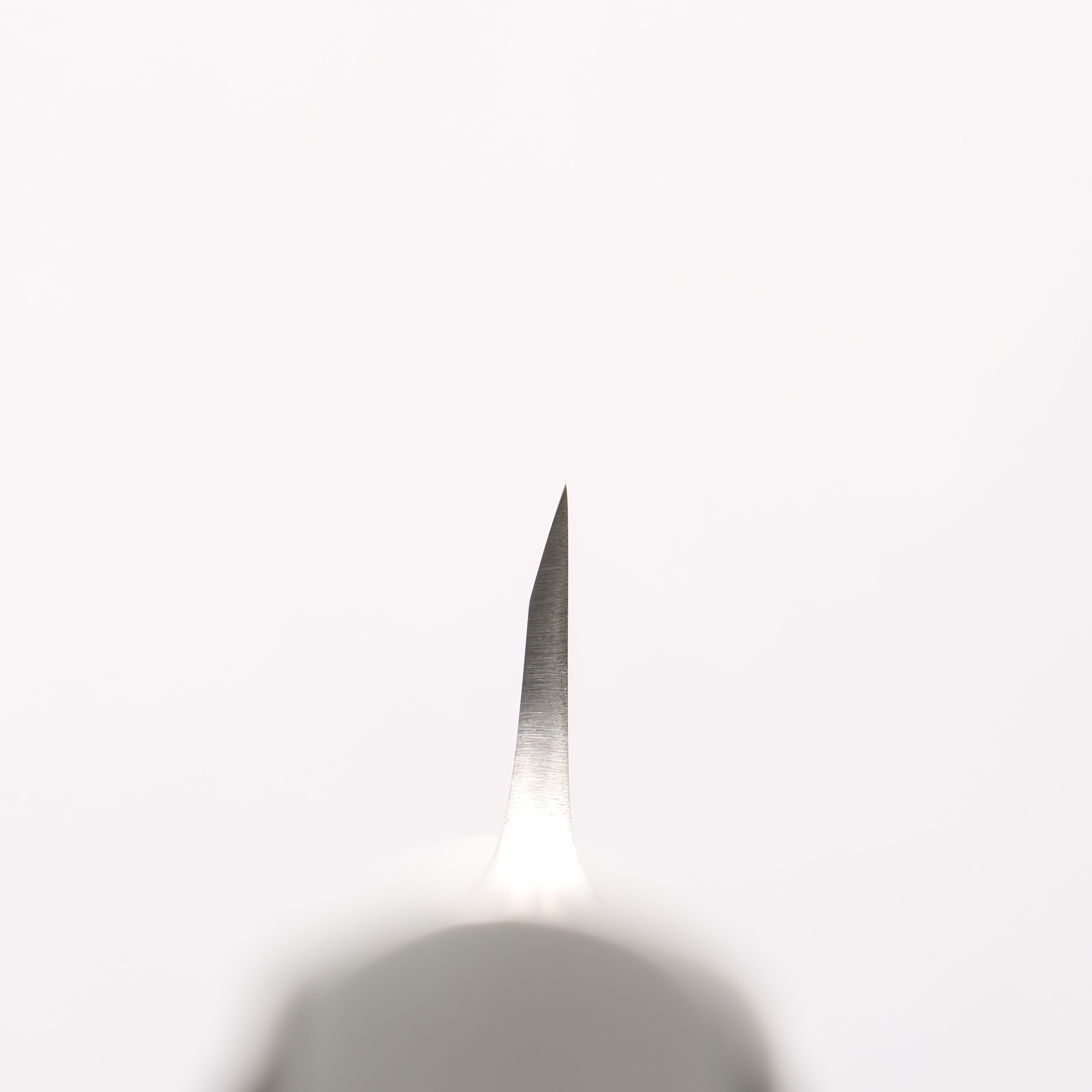 Glestain 不鏽鋼 去骨刀 150mm - 清助刃物