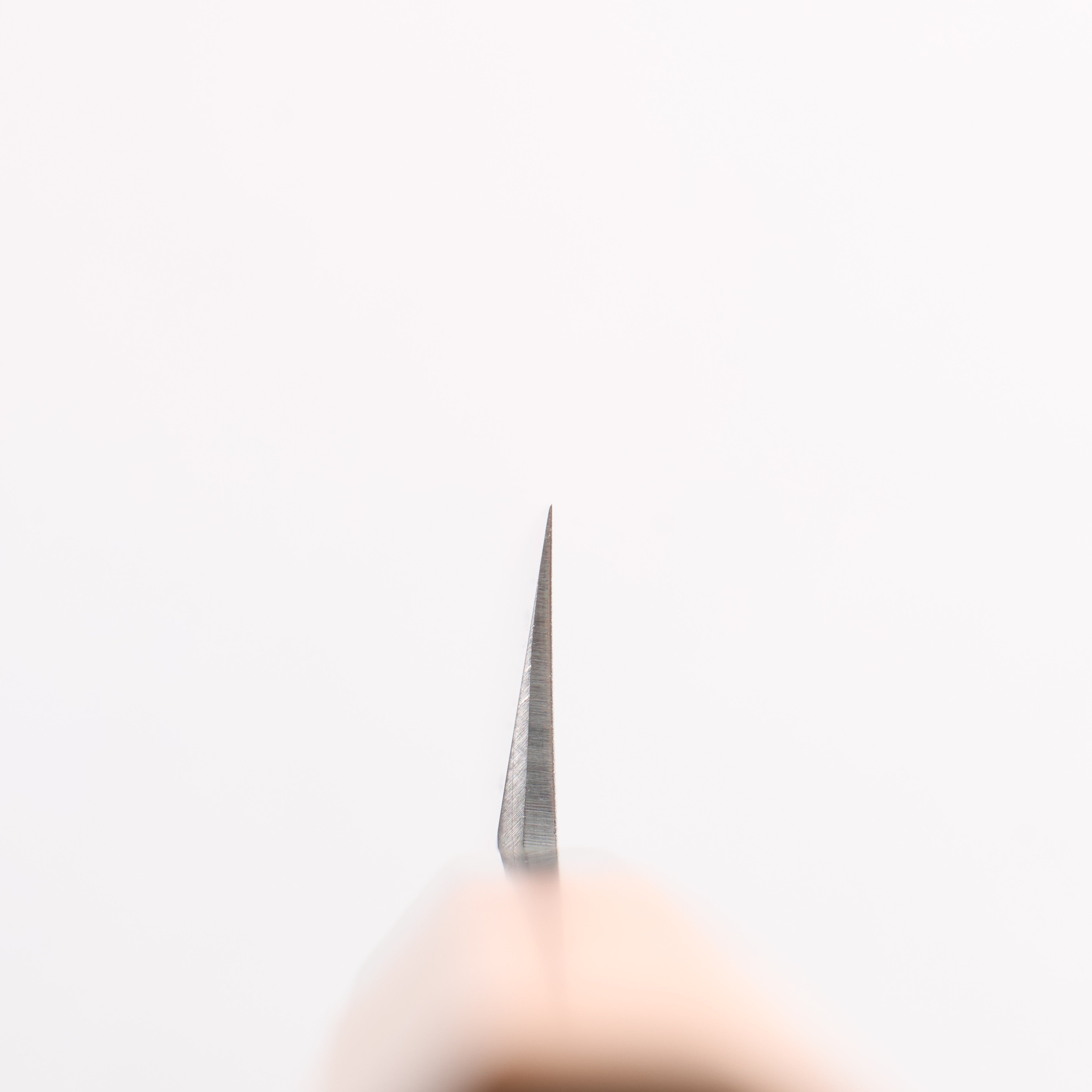 鐵泉 田中作 Tamahagane 多用途小刀 145mm 紫杉木 握把 - 清助刃物