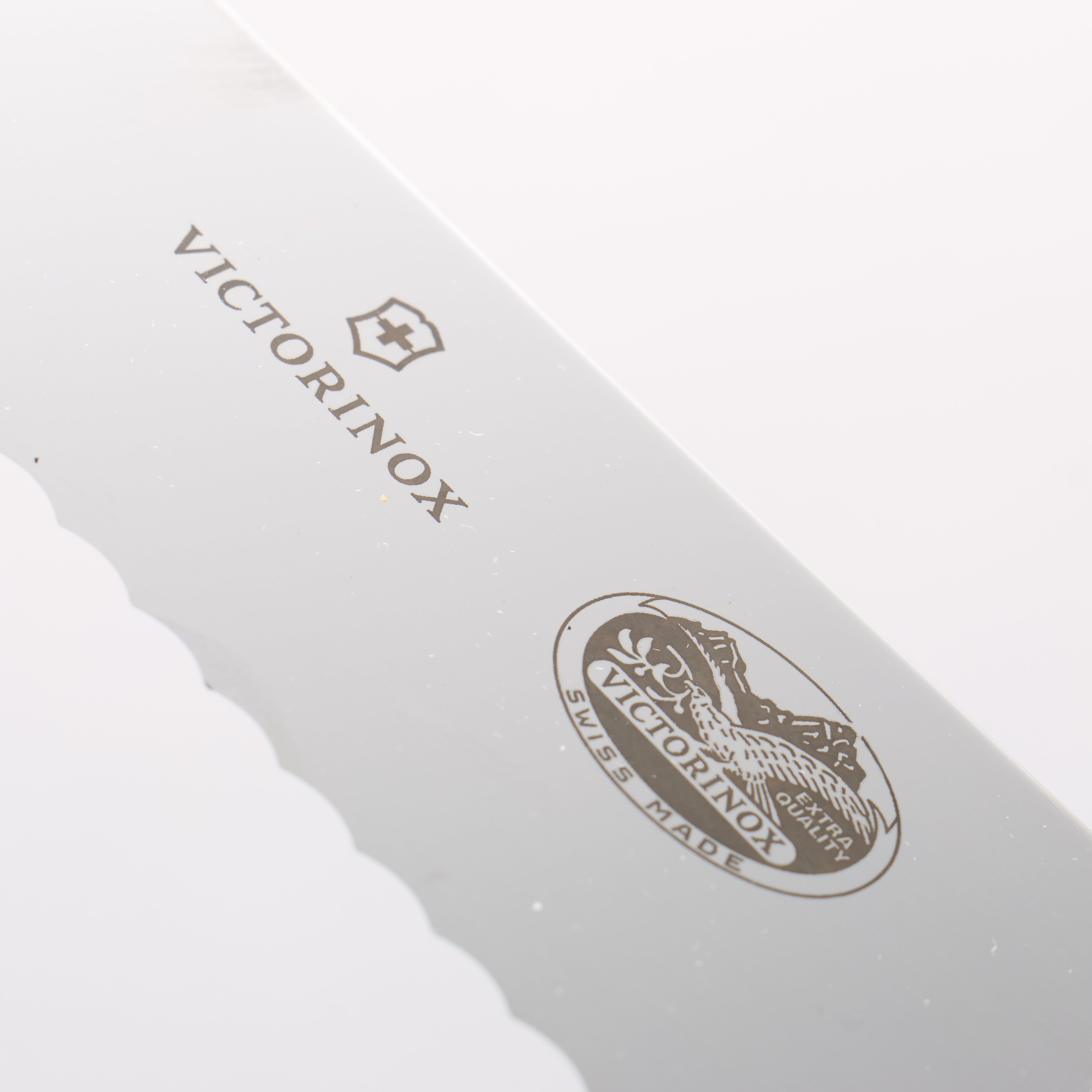 VICTORINOX 不鏽鋼 麵包刀 260mm 塑膠 握把 - 清助刃物