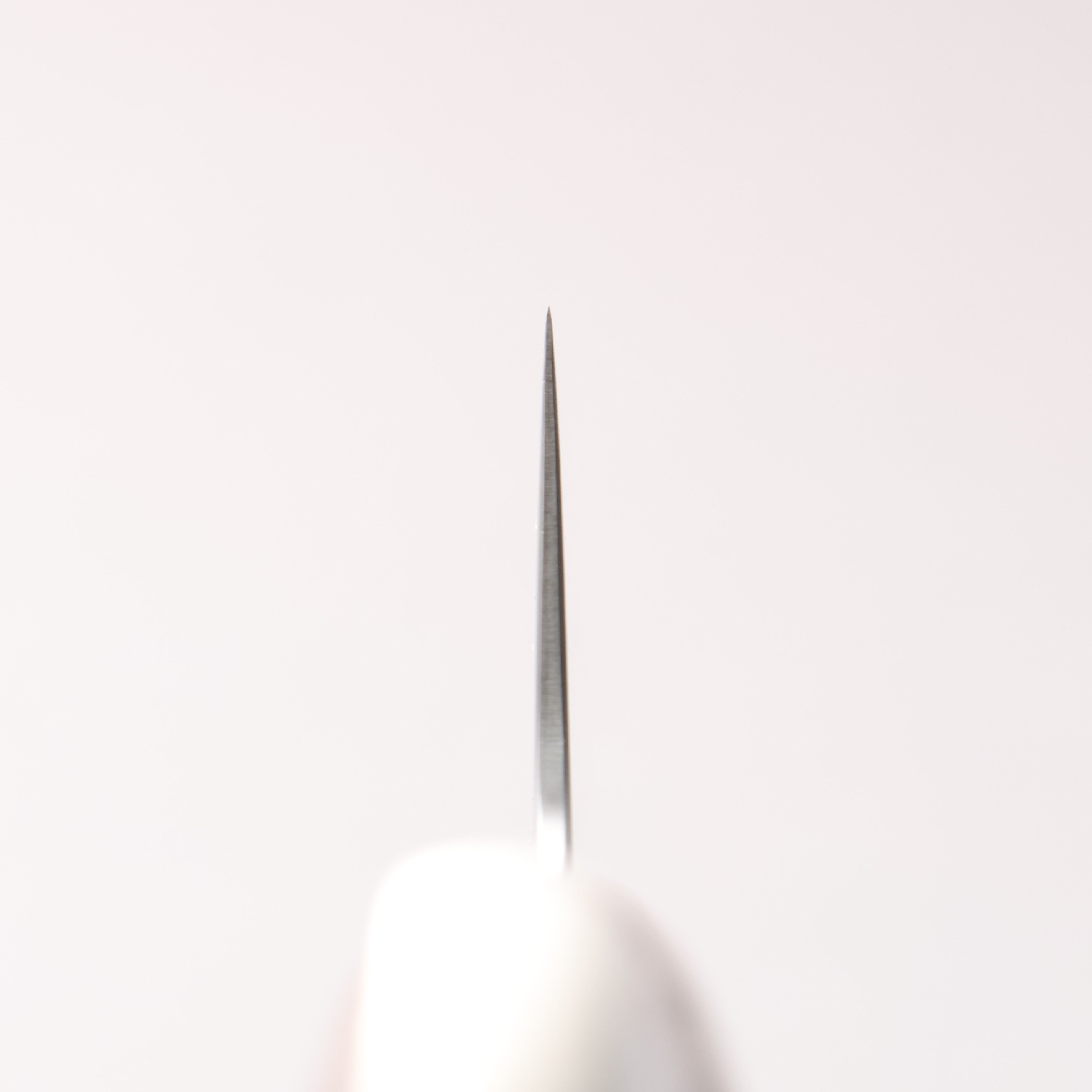 佳人 VG10 大馬士革紋 牛刀 210mm 紫檀木 握把 - 清助刃物