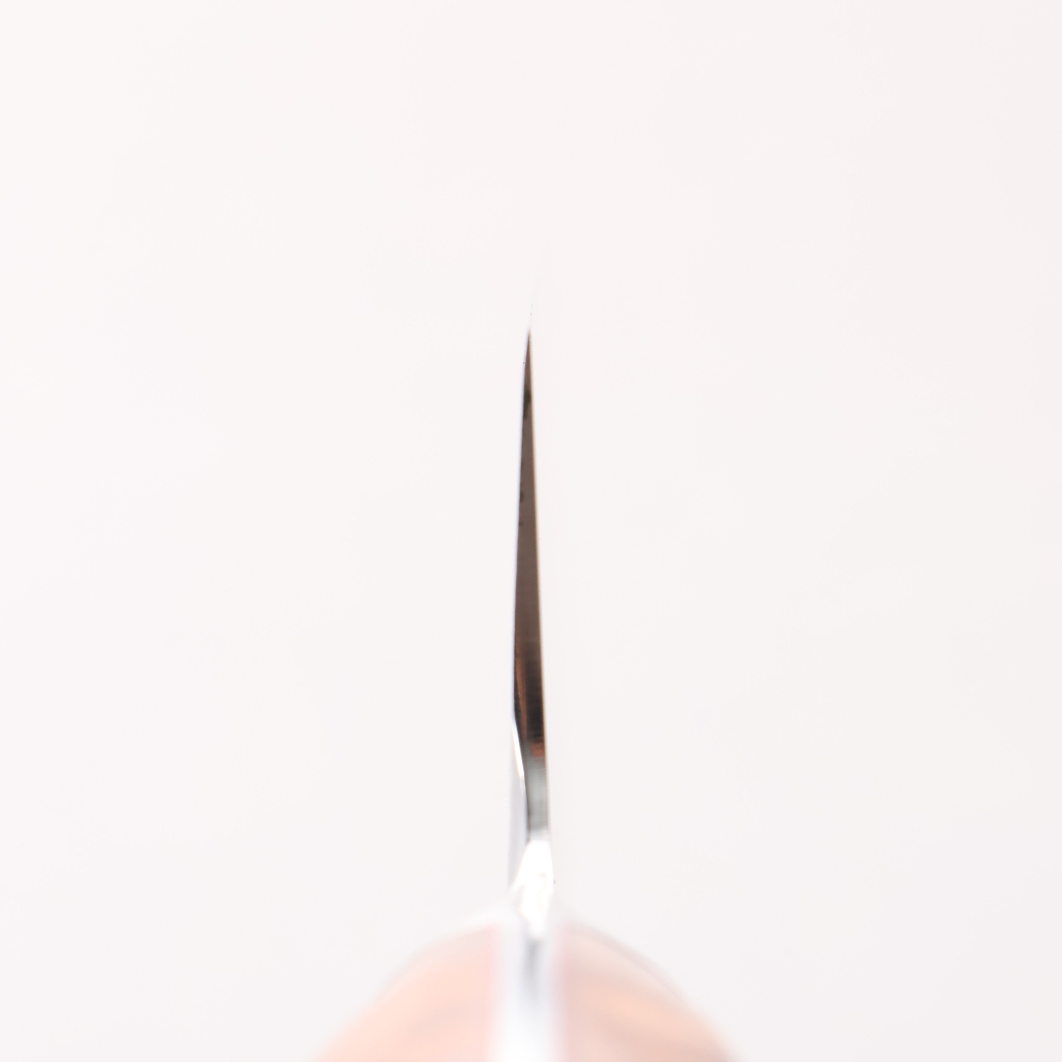 佳人 SG2 筋引 240mm 花梨木瘤 握把 - 清助刃物