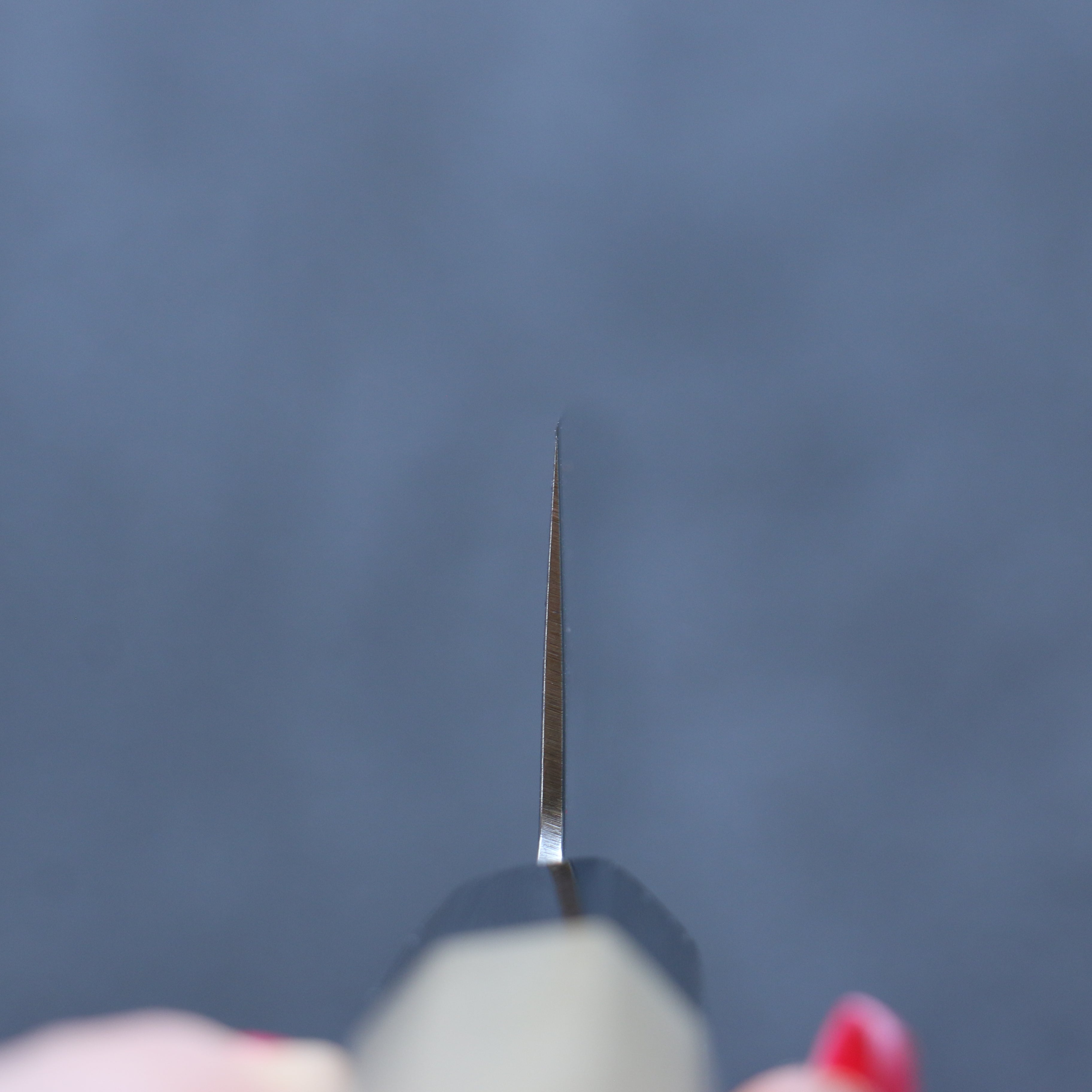 三寿ゞ (Misuzu) AUS10 大馬士革紋 打磨處理 牛刀 210mm 木蘭 握把 - 清助刃物