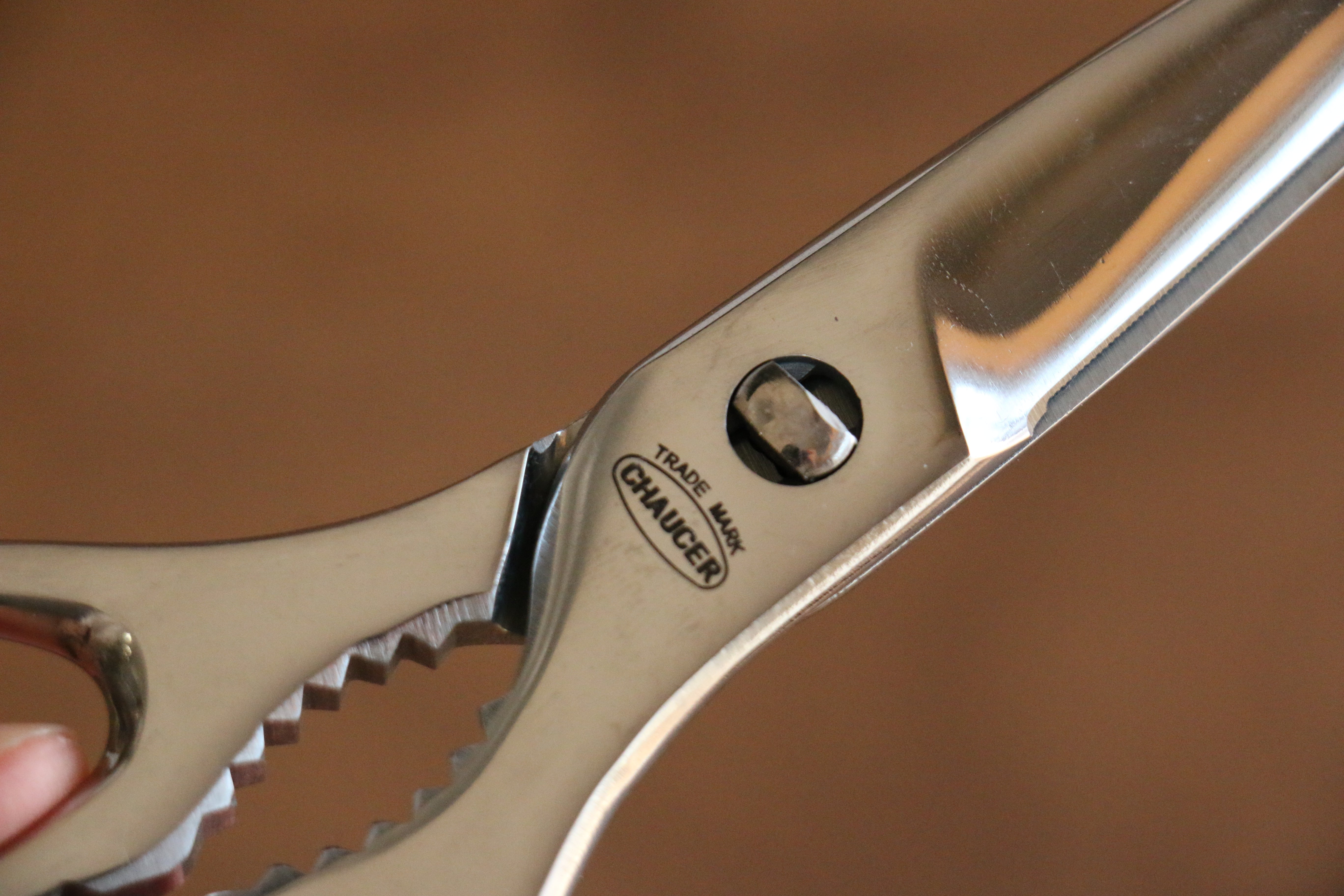 New Kokkusan 不鏽鋼 廚房料理剪刀(可拆解消毒) - 清助刃物