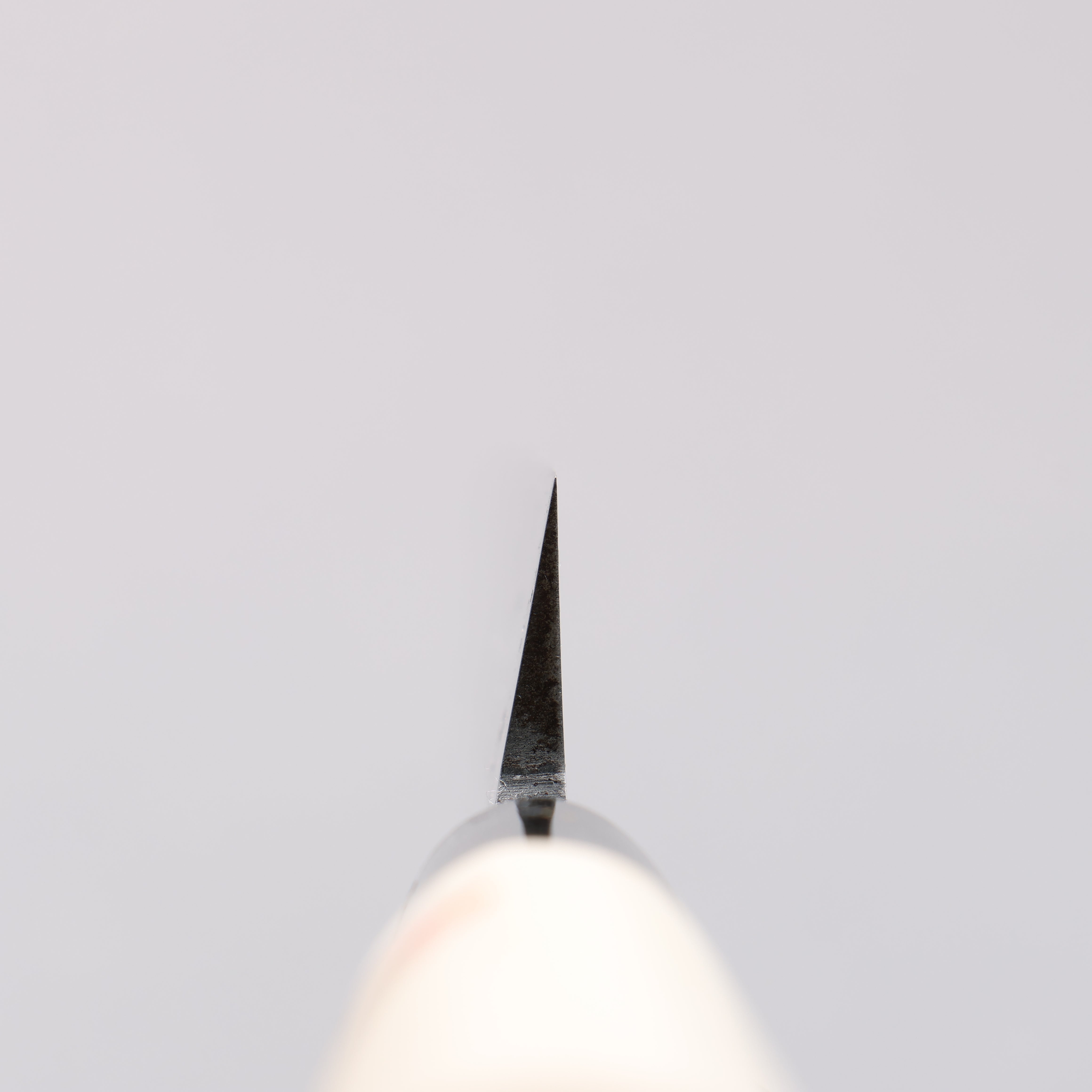 堺 孝行 霞 白鋼 柳刃 木蘭握把 - 清助刃物