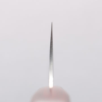 堺 孝行 VG10 33層 大馬士革紋 牛刀 210mm 桃花心合成木 握把 - 清助刃物
