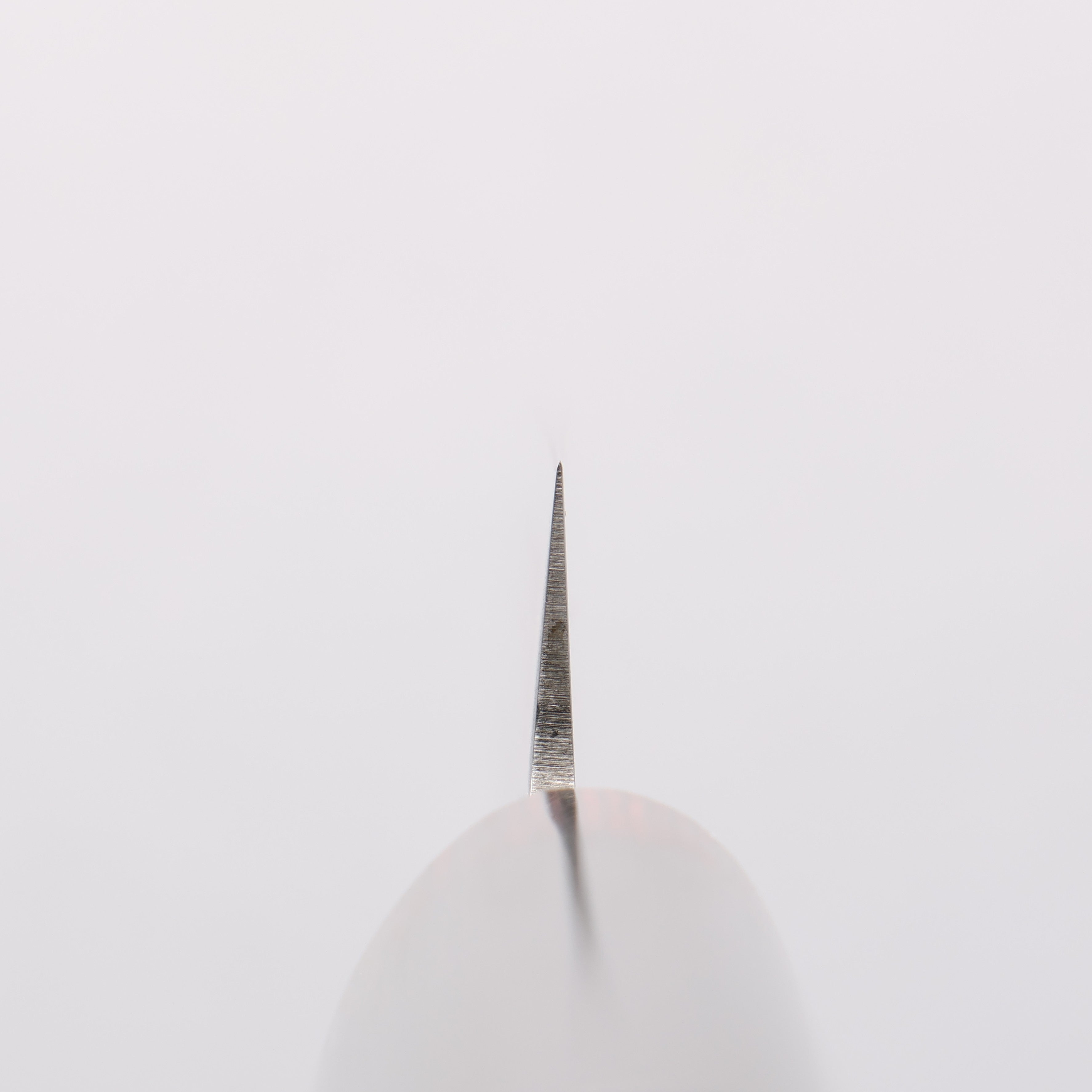 伊勢屋 VG10 大馬士革紋 柳刃 210mm 握把 - 清助刃物