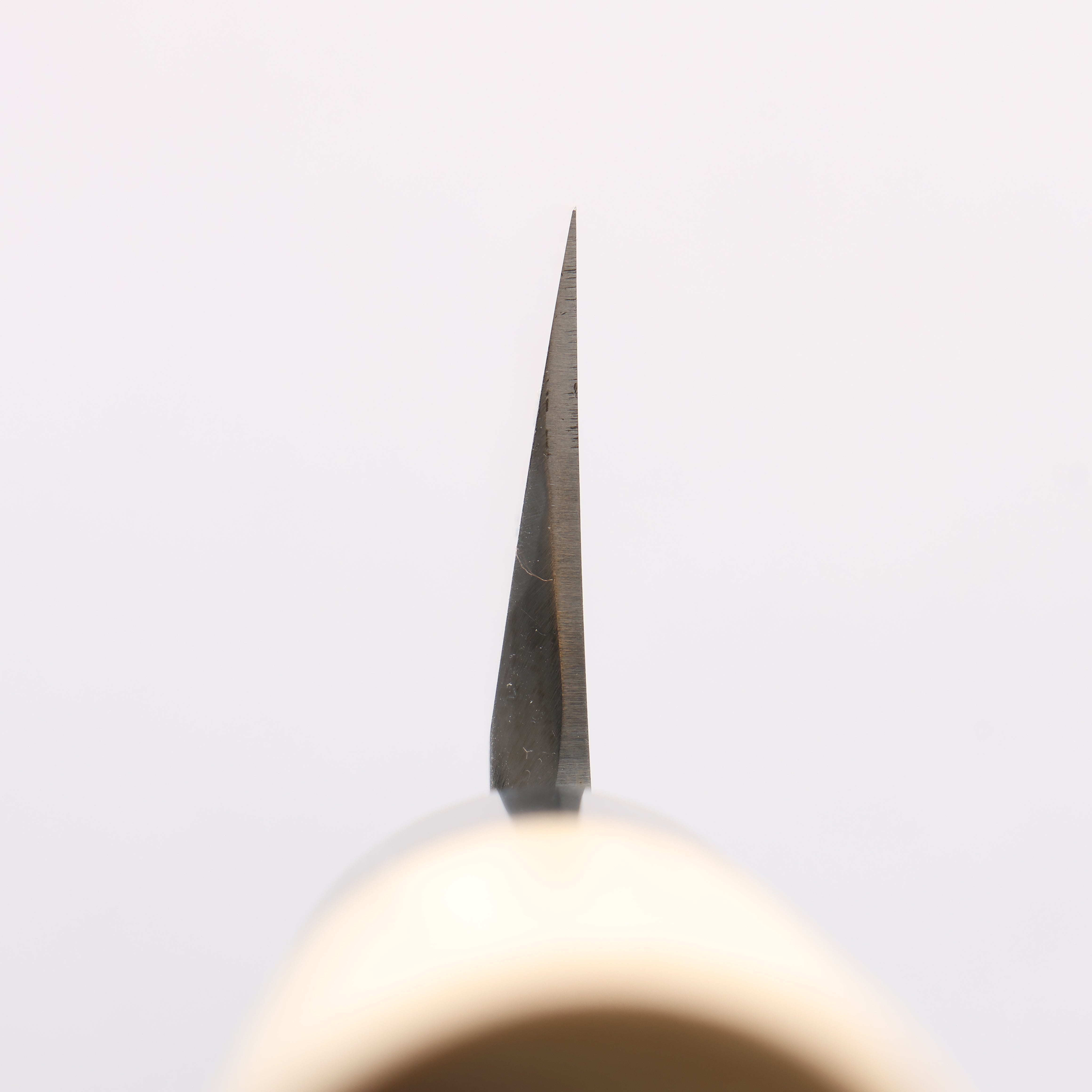 堺 孝行 白鋼二號 鰻魚刀 240mm 木蘭握把 - 清助刃物