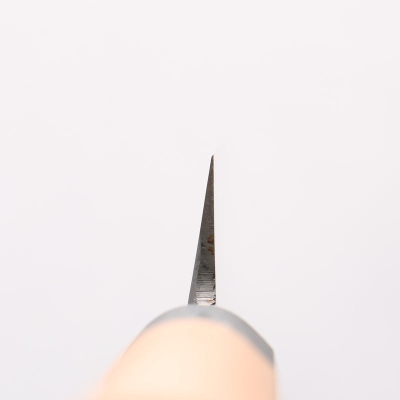 堺 孝行 鉬鋼（MOL） 柳刃 270mm PC 塑膠抗菌握把 - 清助刃物