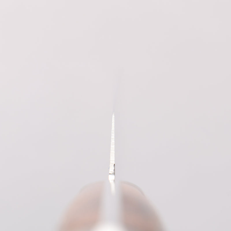 堺 孝行 不鏽鋼 切肉刀 240mm 握把 - 清助刃物