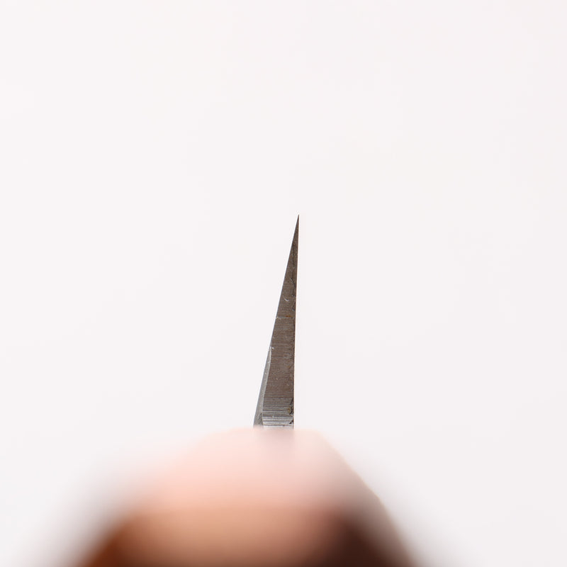 堺 孝行 七色 INOX 鉬鋼 柳刃 270mm ABS 樹脂（復古金）握把 - 清助刃物