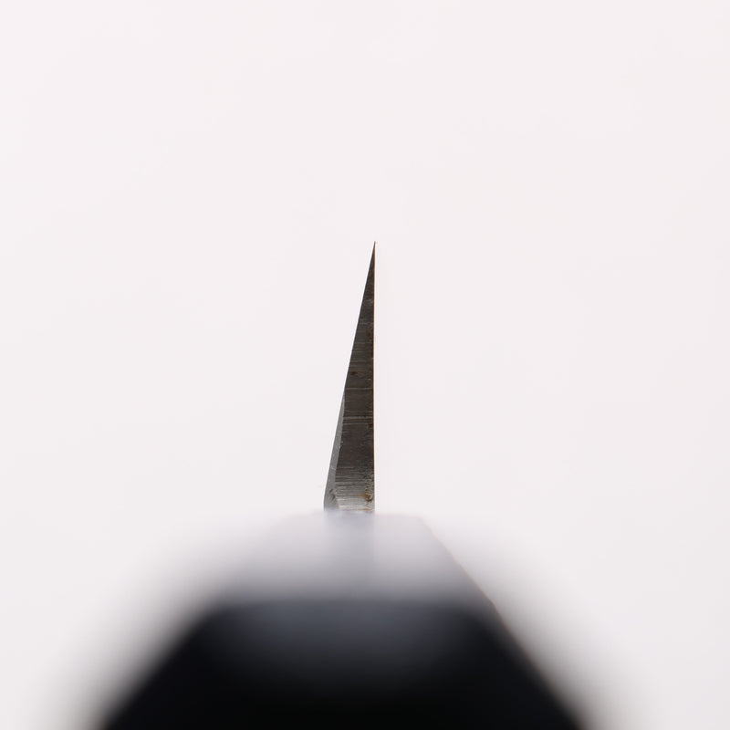 堺 孝行 七色 INOX 鉬鋼 柳刃 270mm ABS 樹脂（群青玳瑁）握把 - 清助刃物