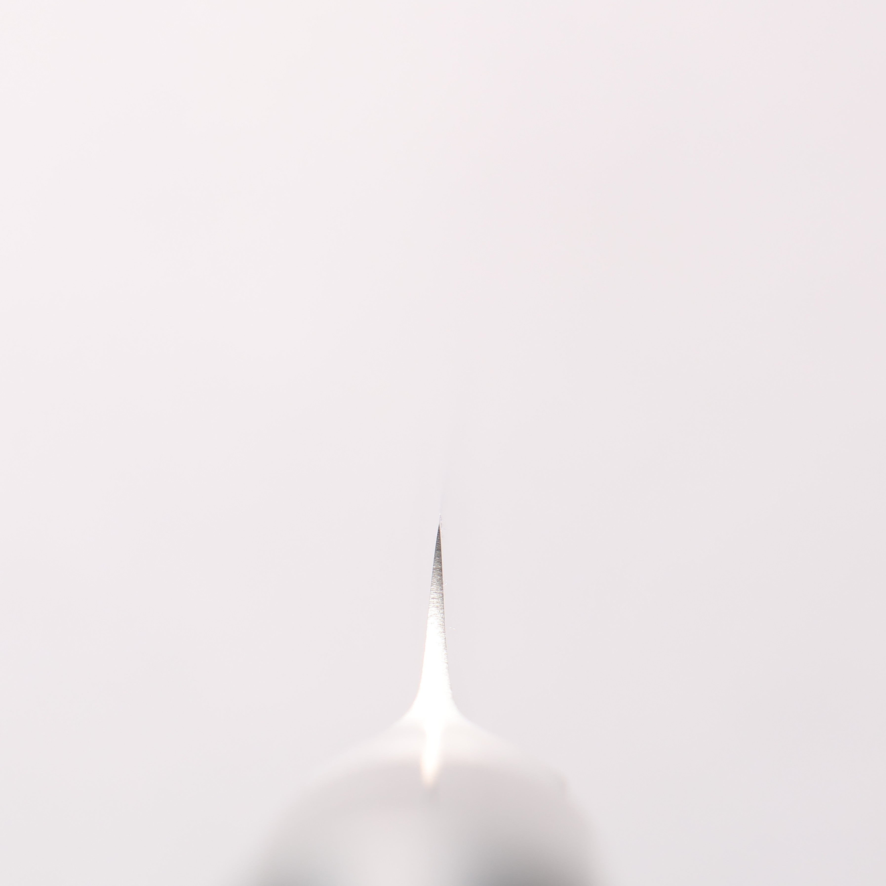 Glestain 不鏽鋼 去魚皮骨刀 - 清助刃物