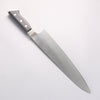Glestain Stainless Steel Gyuto - Japanny - Best Japanese Knife