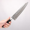 Glestain Stainless Steel Gyuto - Japanny - Best Japanese Knife