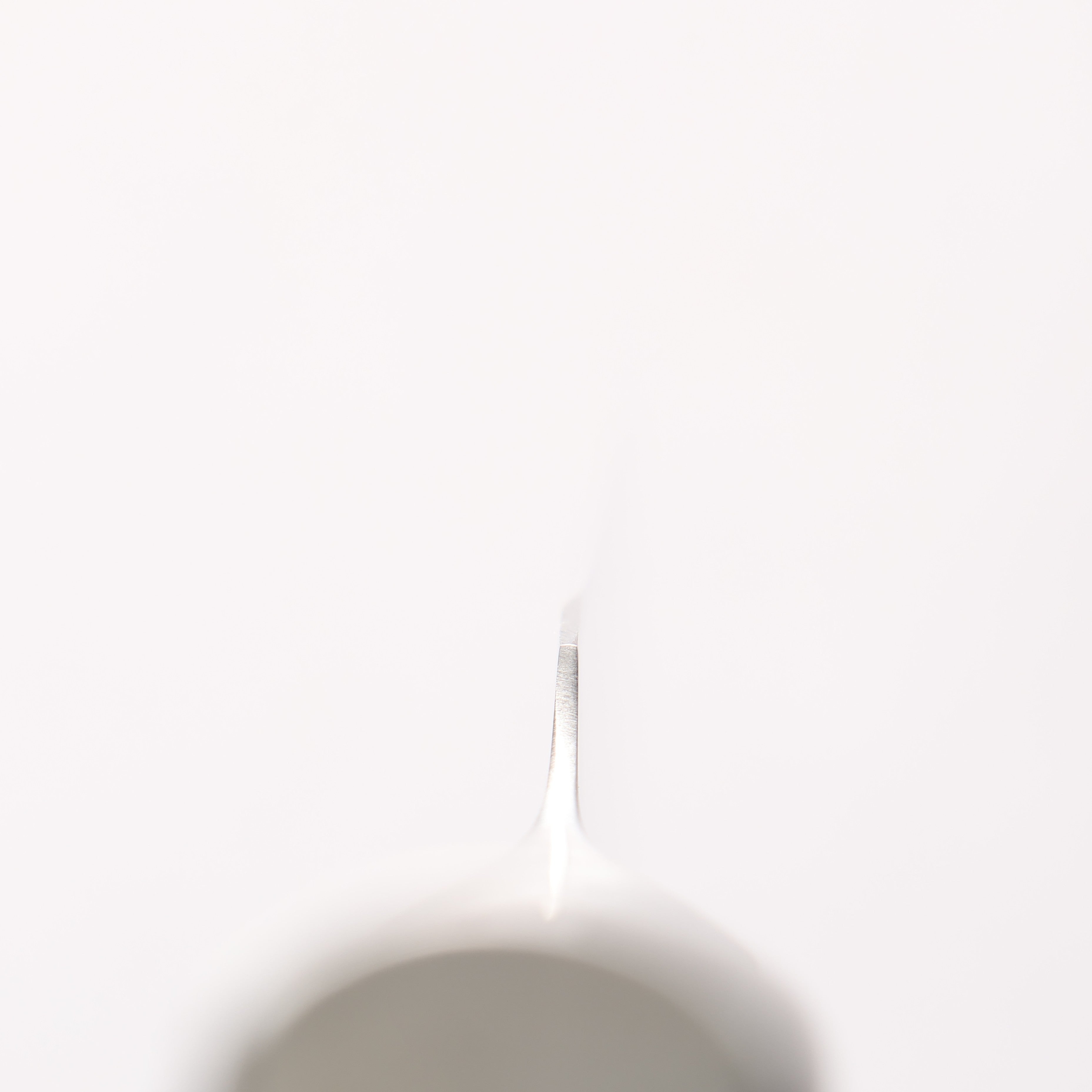 Glestain 不鏽鋼 切肉刀 220mm - 清助刃物