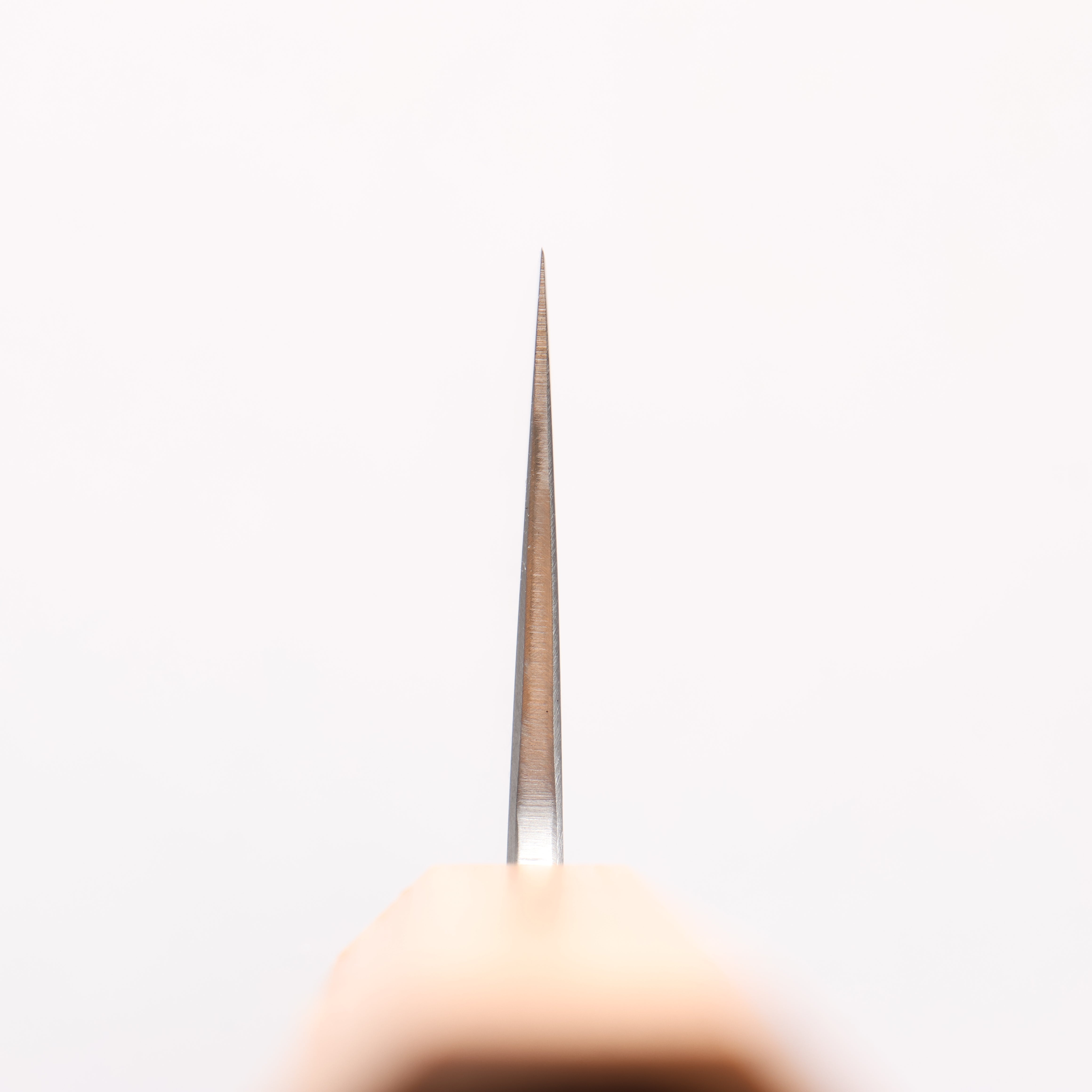 清助 銀三鋼 打磨處理 切付牛刀 240mm 白橡木 握把 - 清助刃物